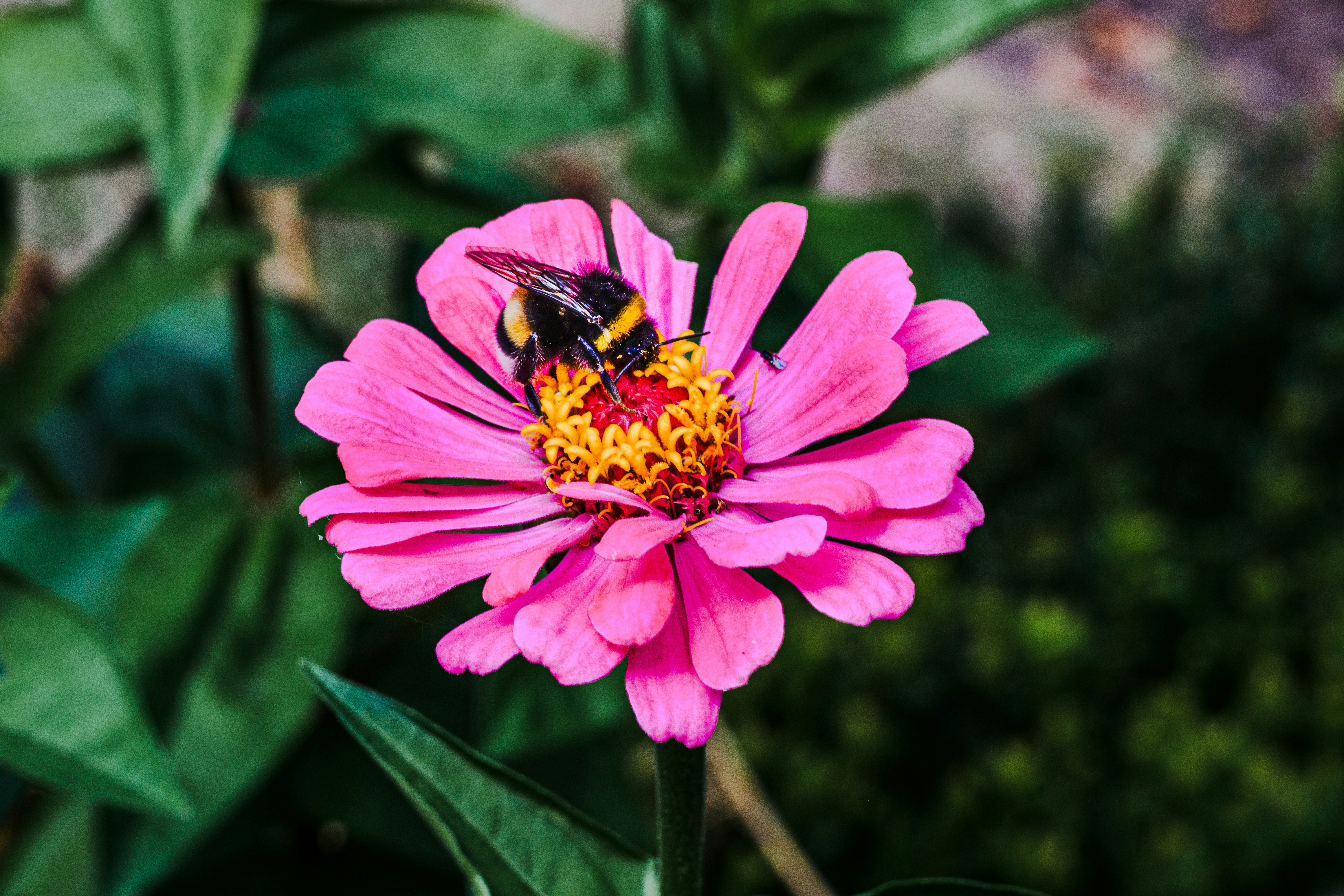 Photo by joanna_stolowicz