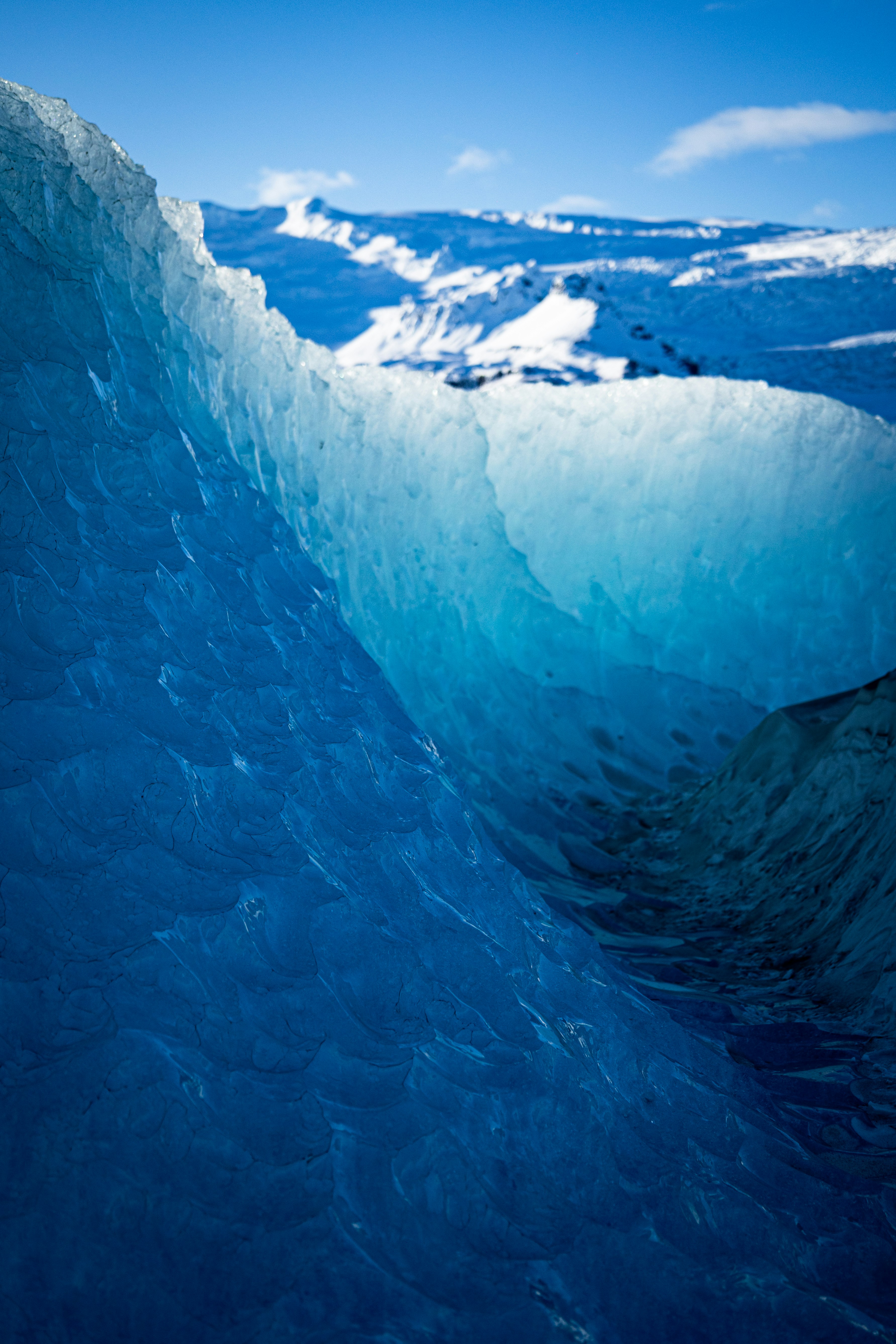 Photo by somewherewithtom