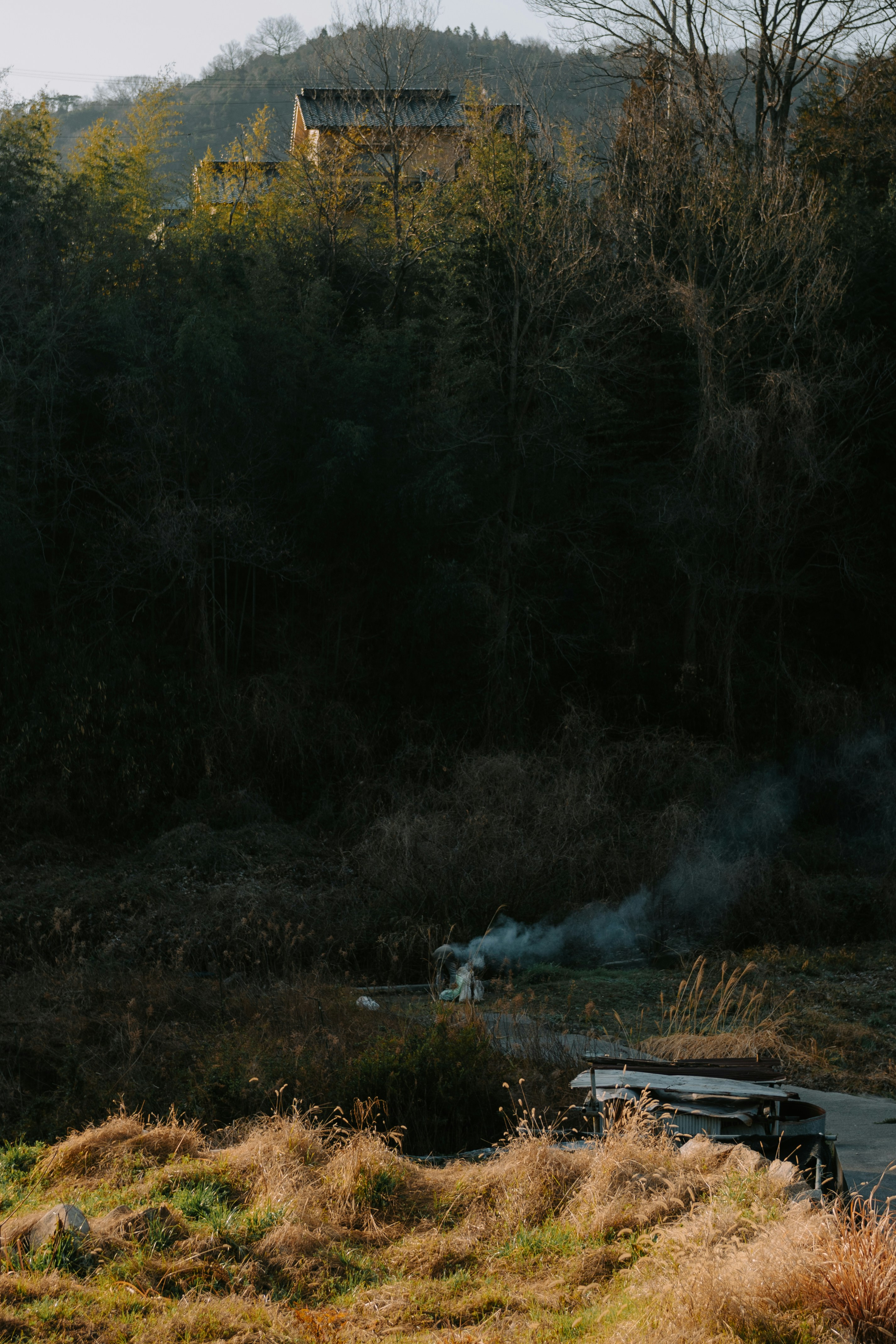 Smoke rises from a small fire in a wooded area.