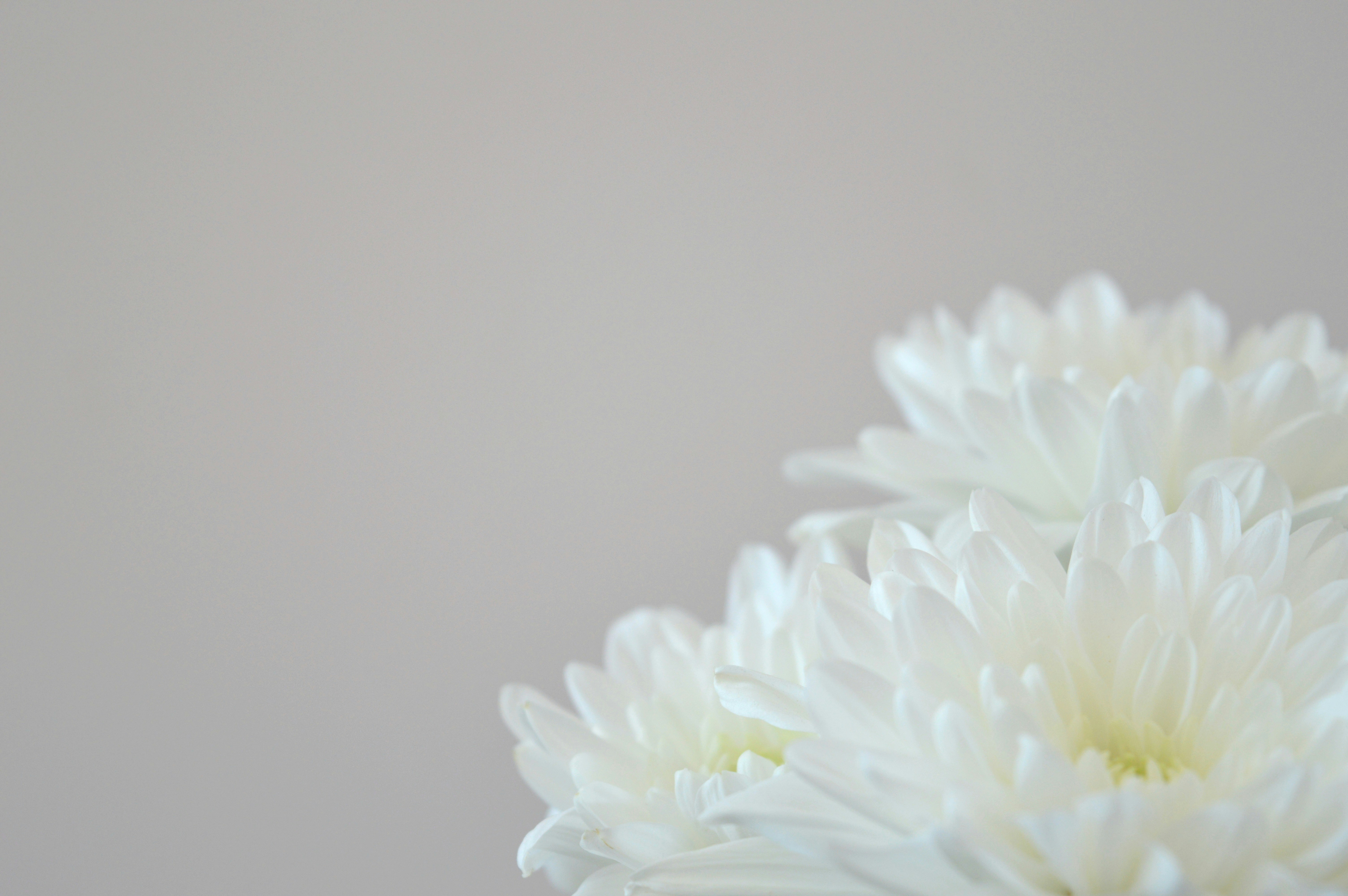 Photo by marianikolova