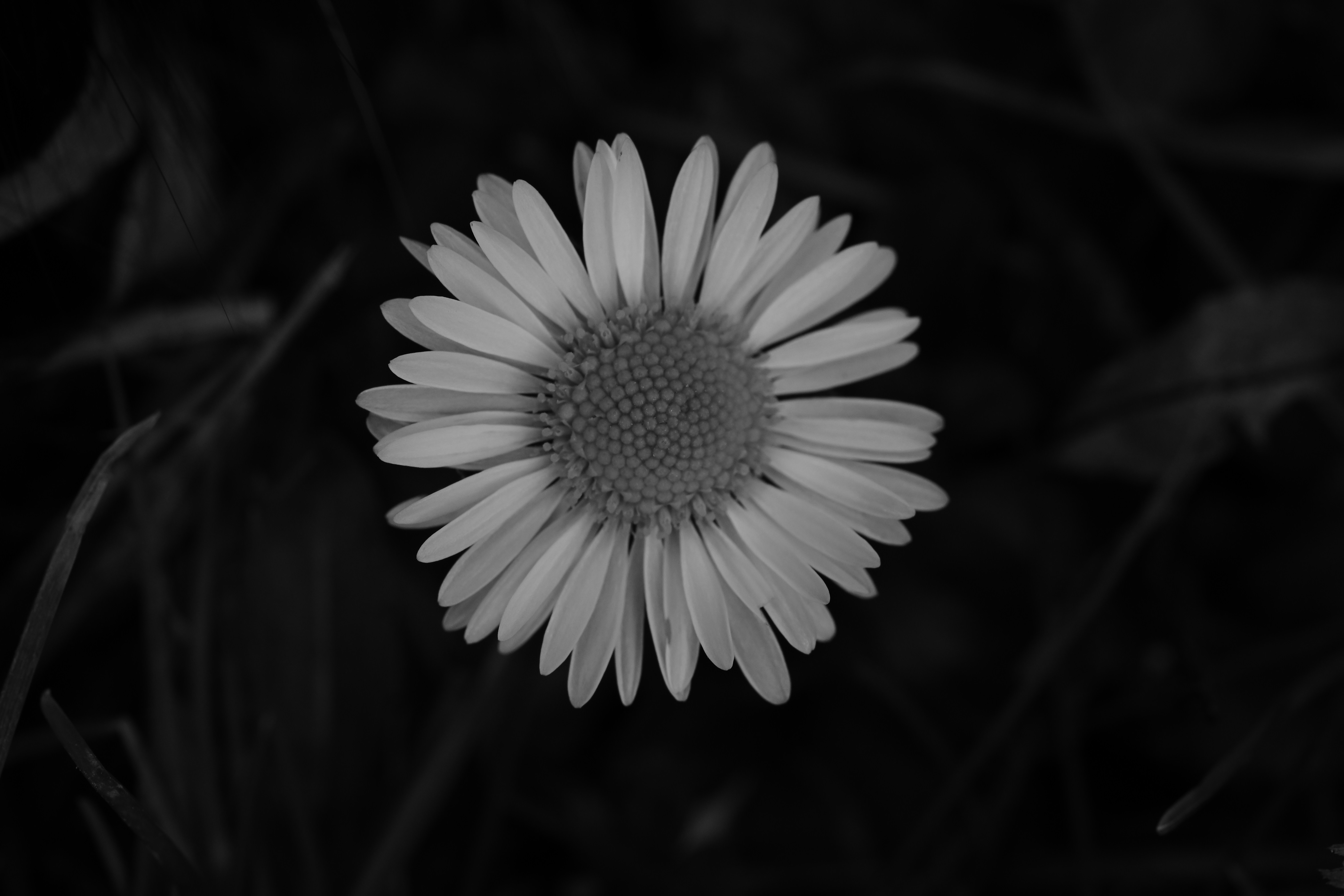 Photo by myworldisblue