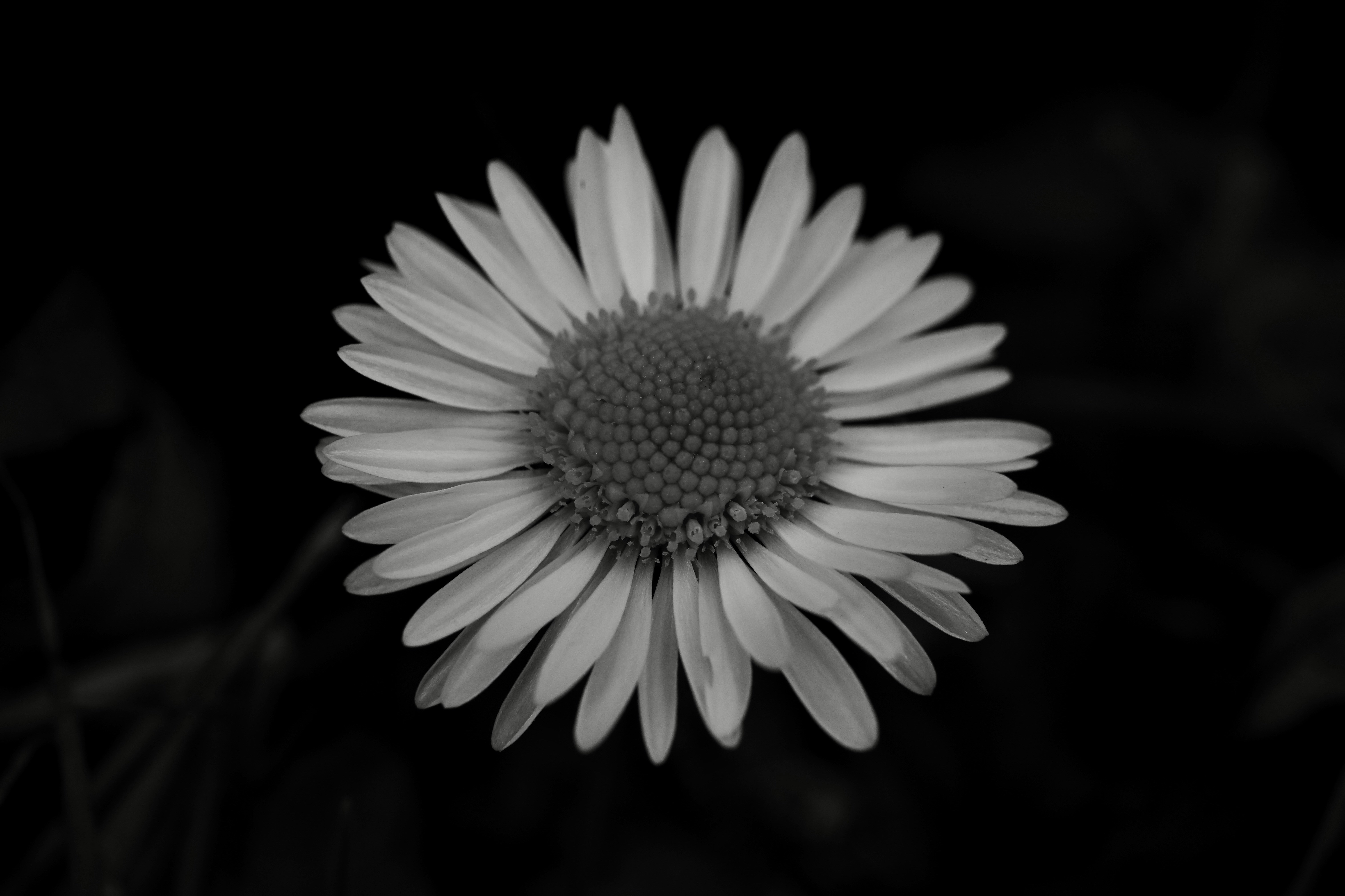 Photo by myworldisblue