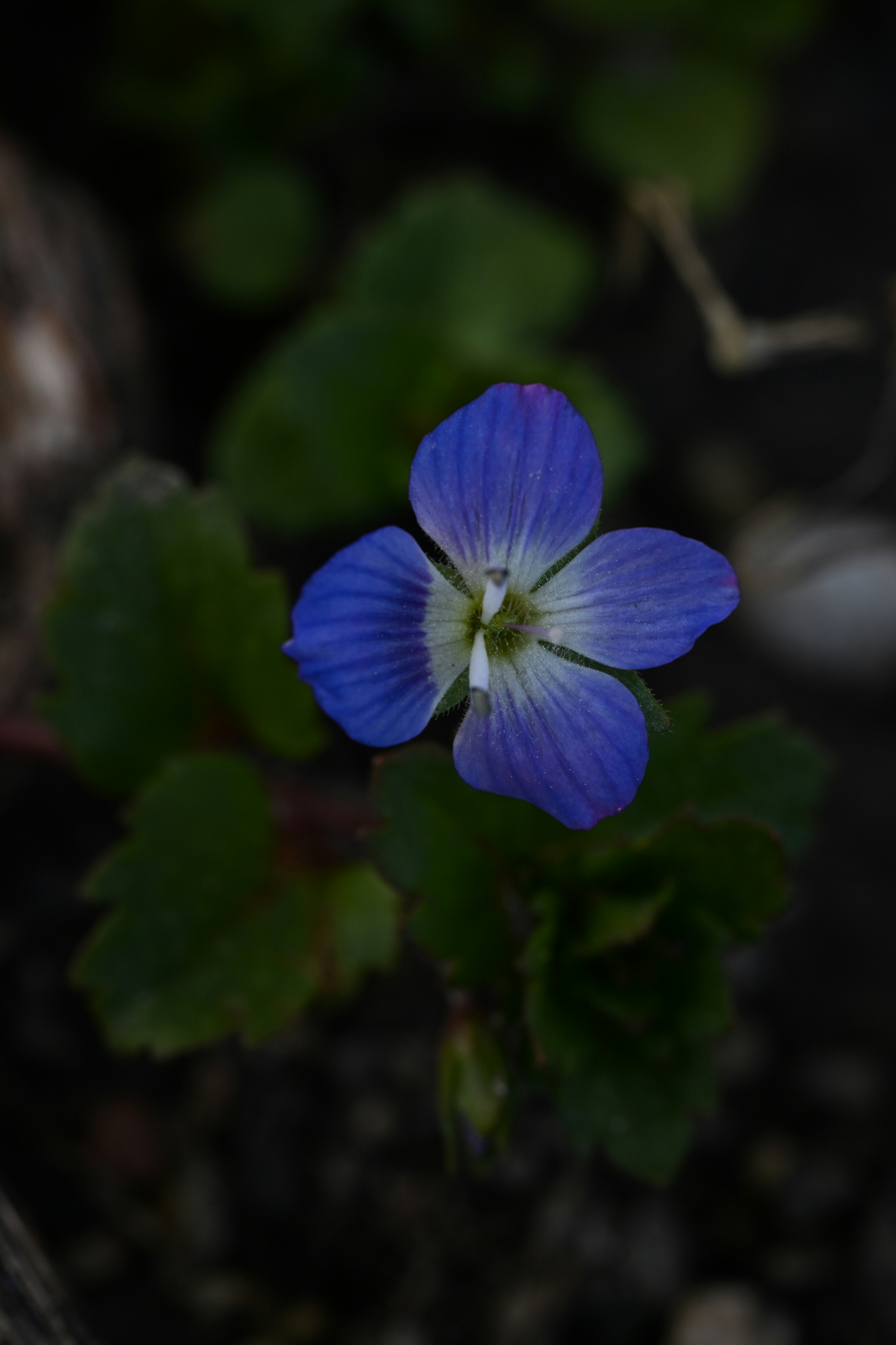 Photo by myworldisblue