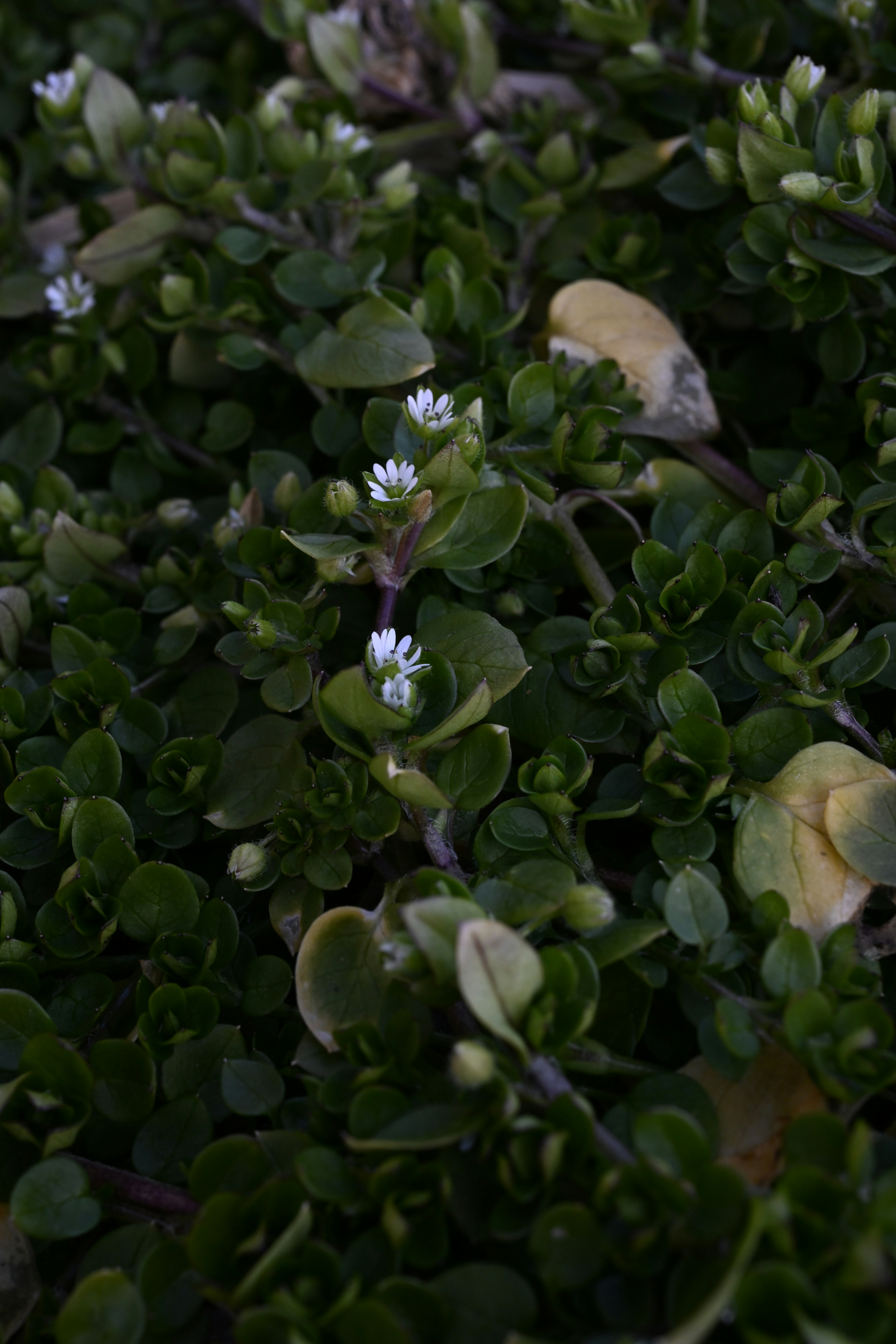 Photo by myworldisblue