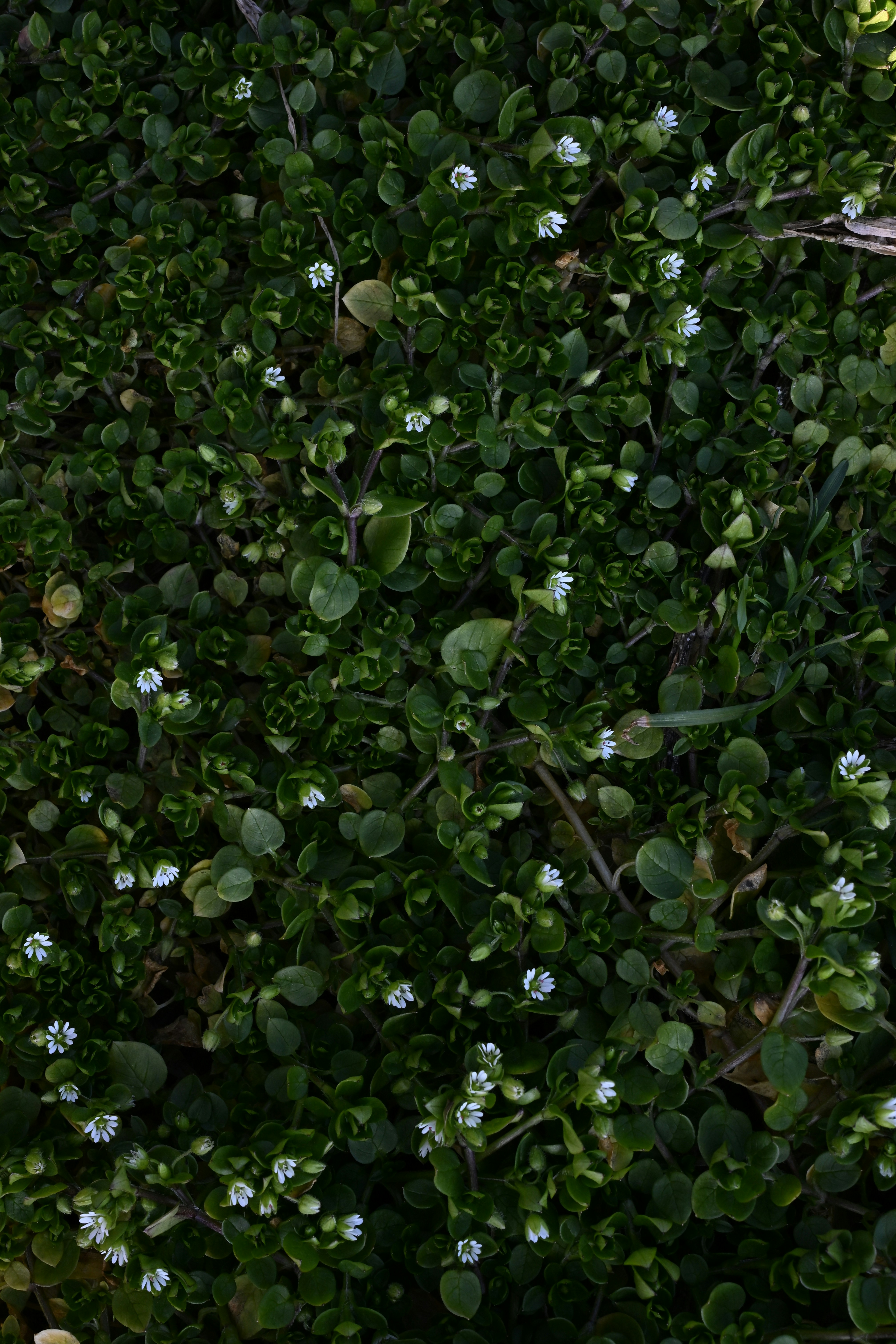 Photo by myworldisblue