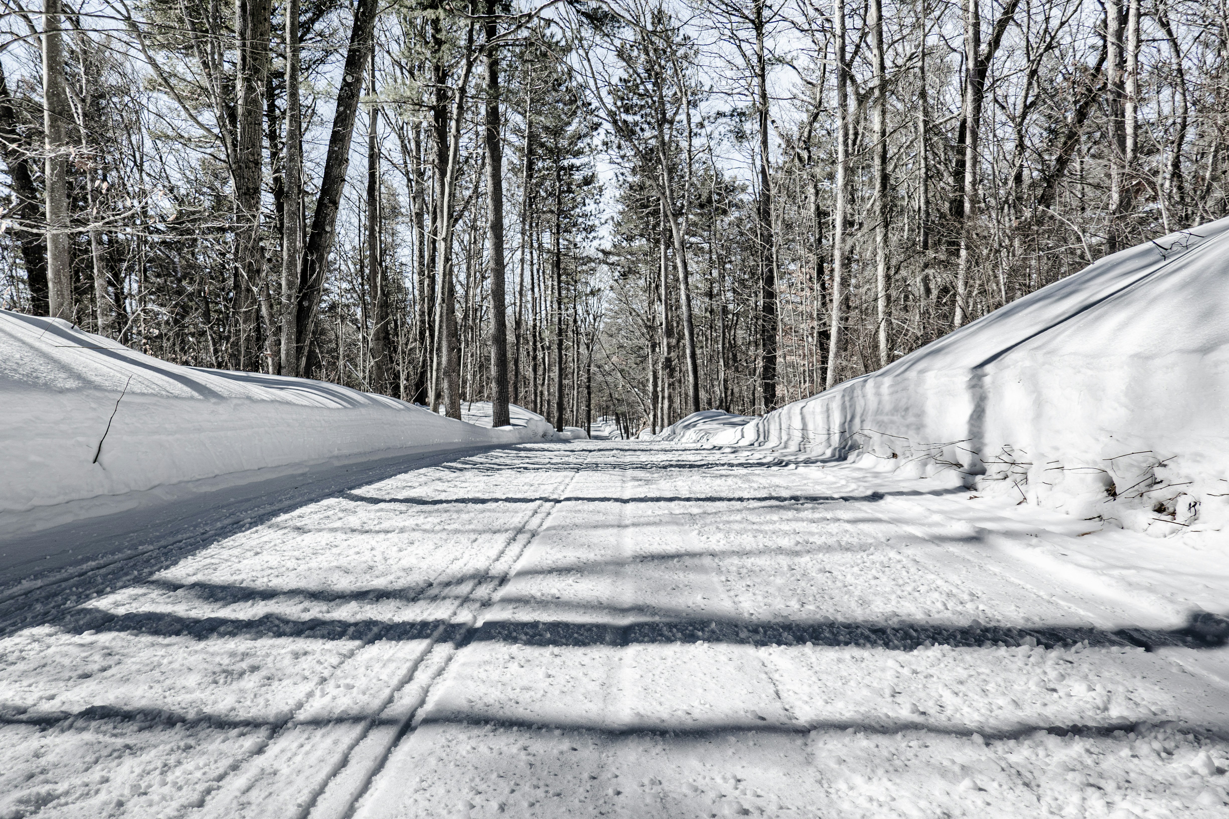 A snow-covered path through a winter forest