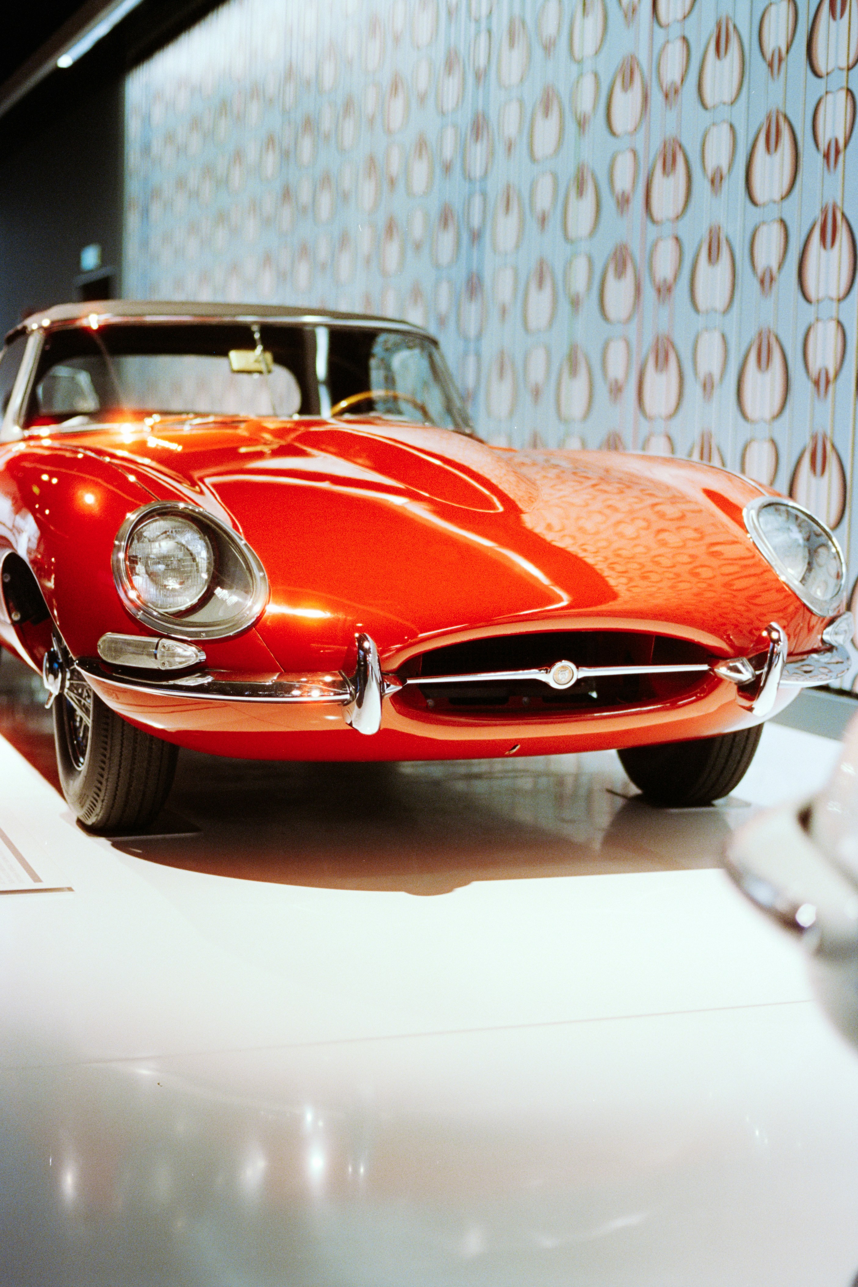 Photo by zhenyao_photo