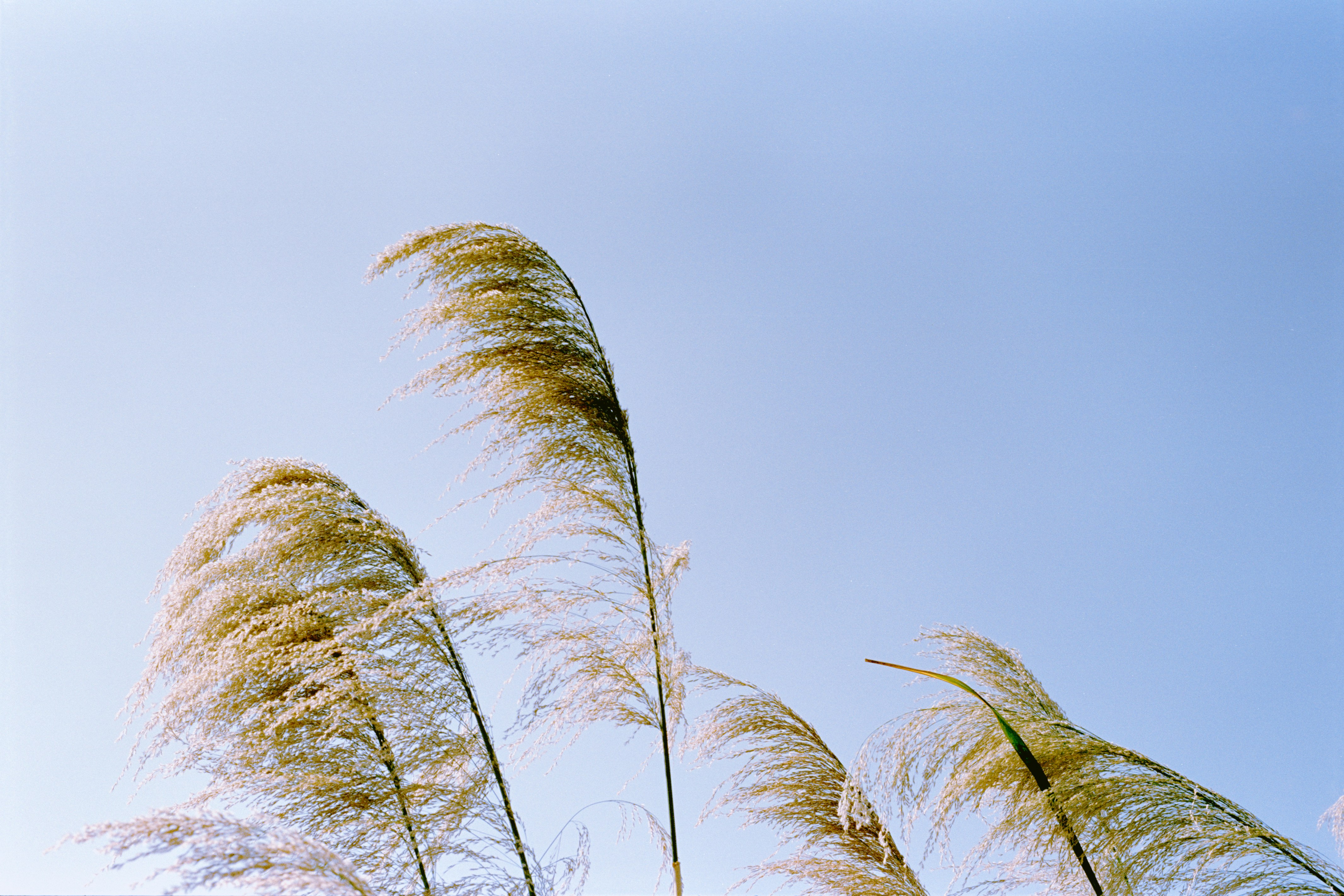 Photo by zhenyao_photo