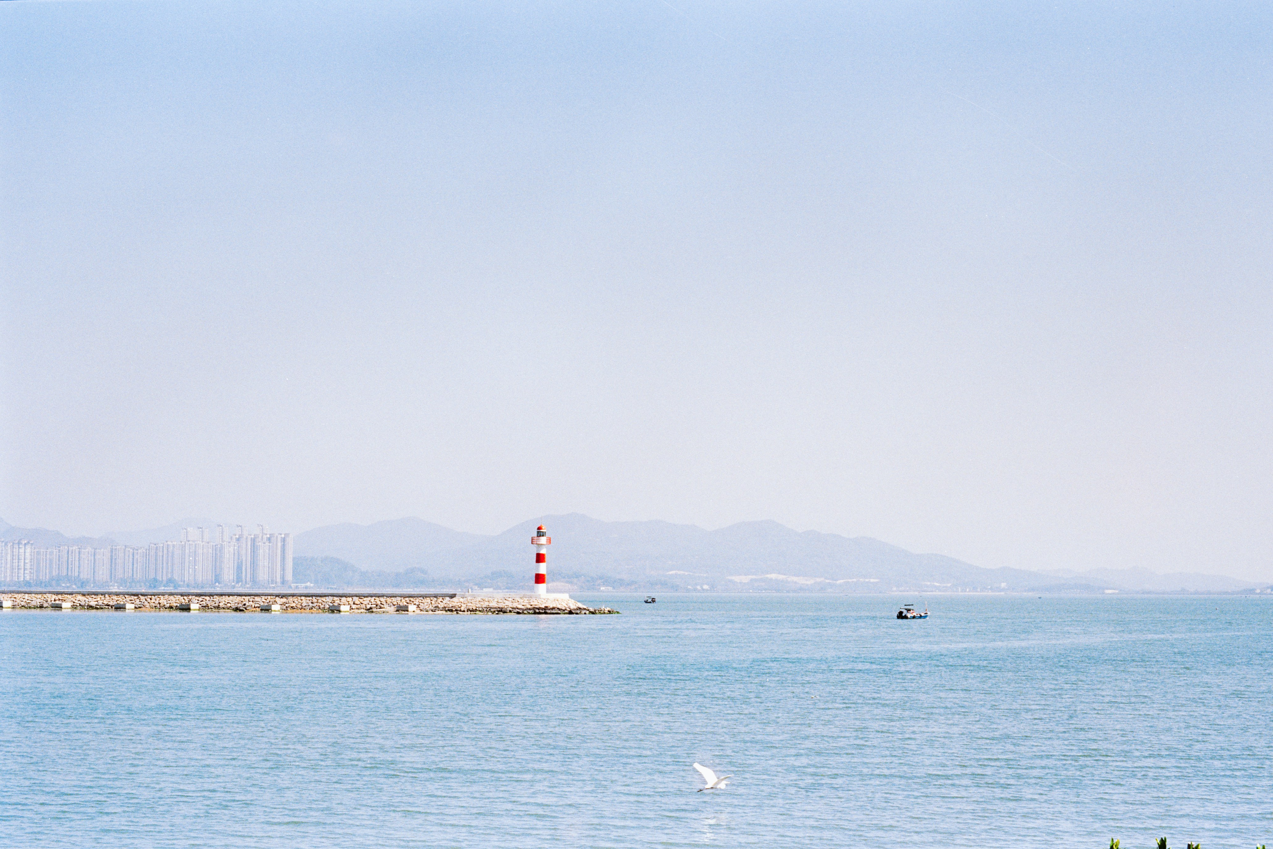 Photo by zhenyao_photo