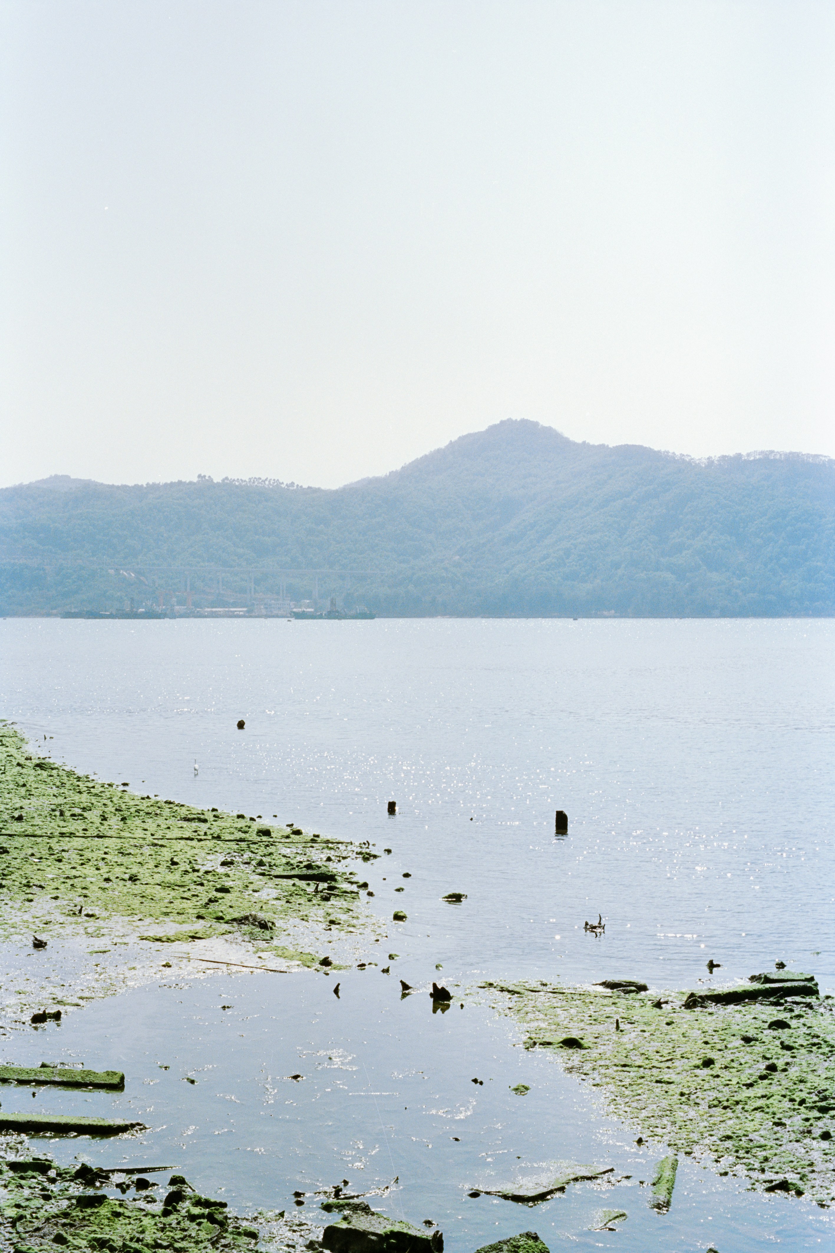 Photo by zhenyao_photo