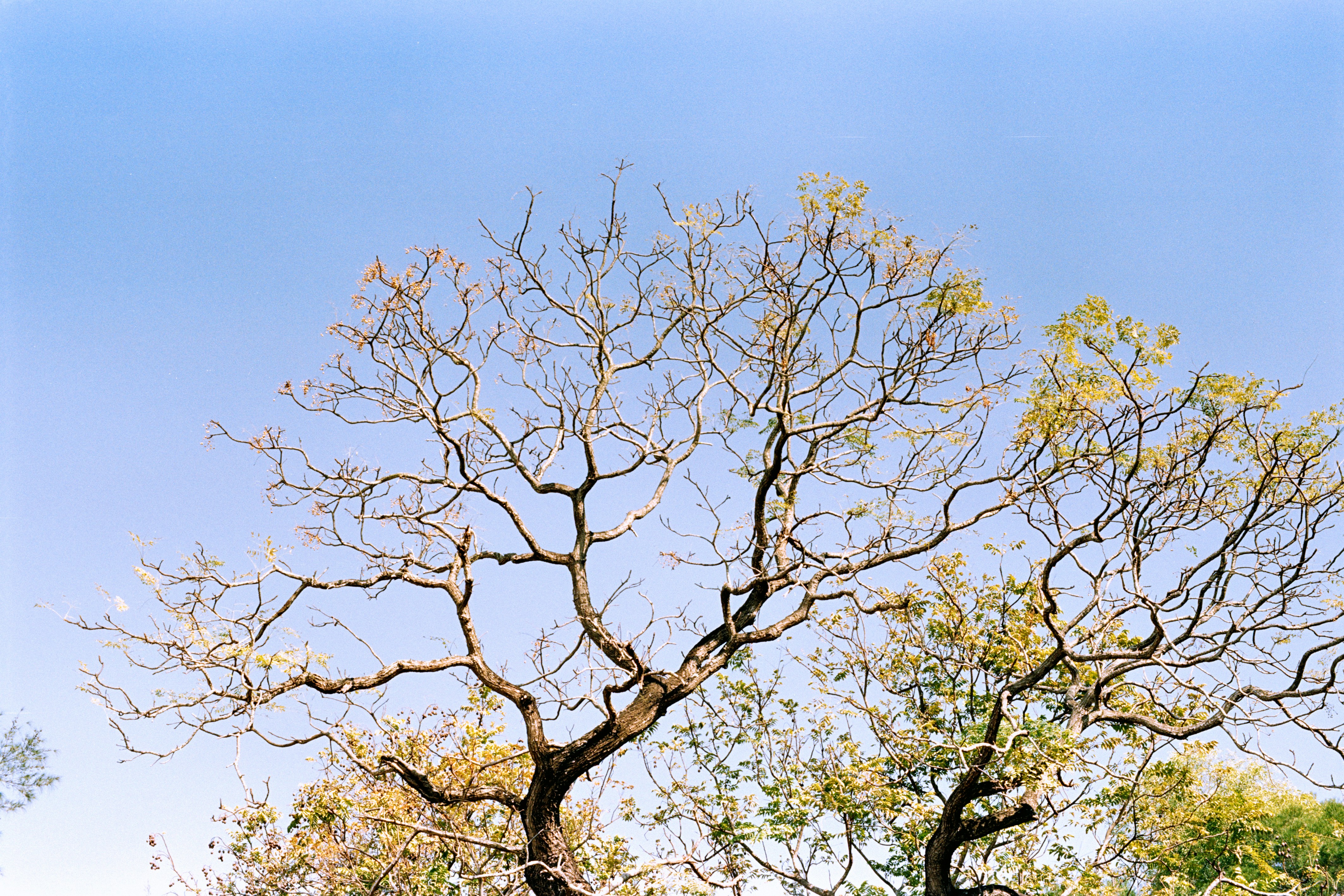 Photo by zhenyao_photo