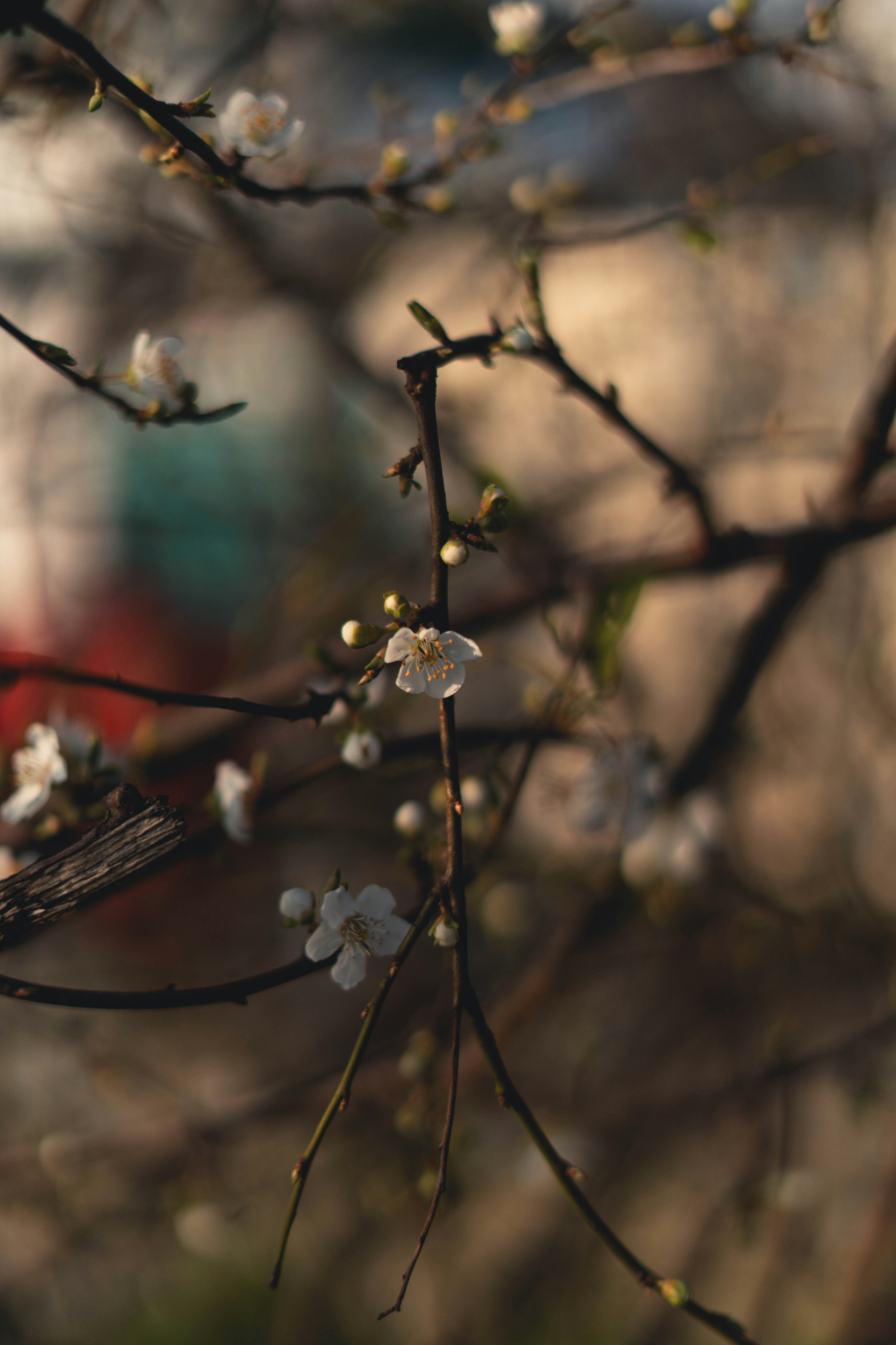 Photo by evgeeeenchik