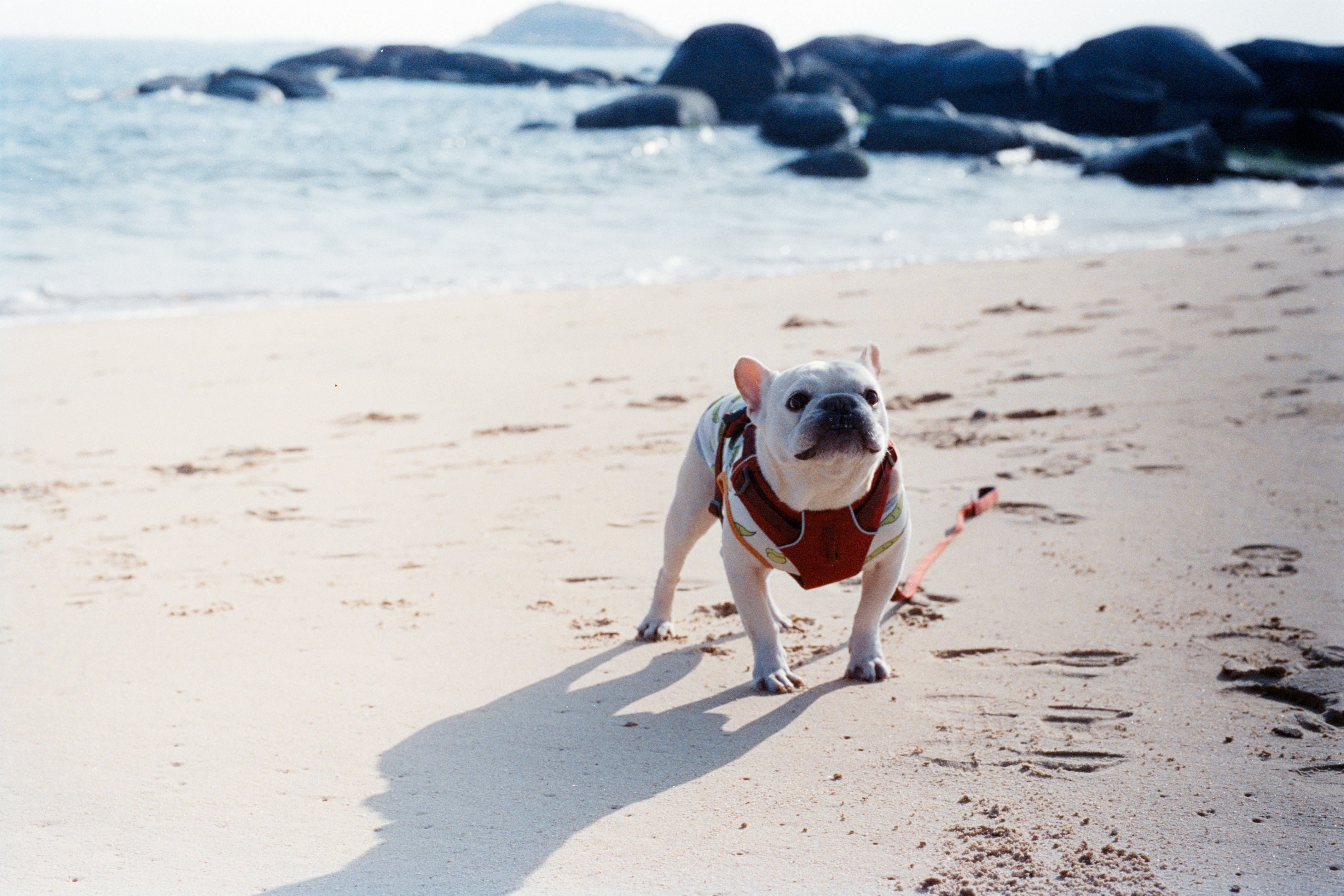 Photo by zhenyao_photo