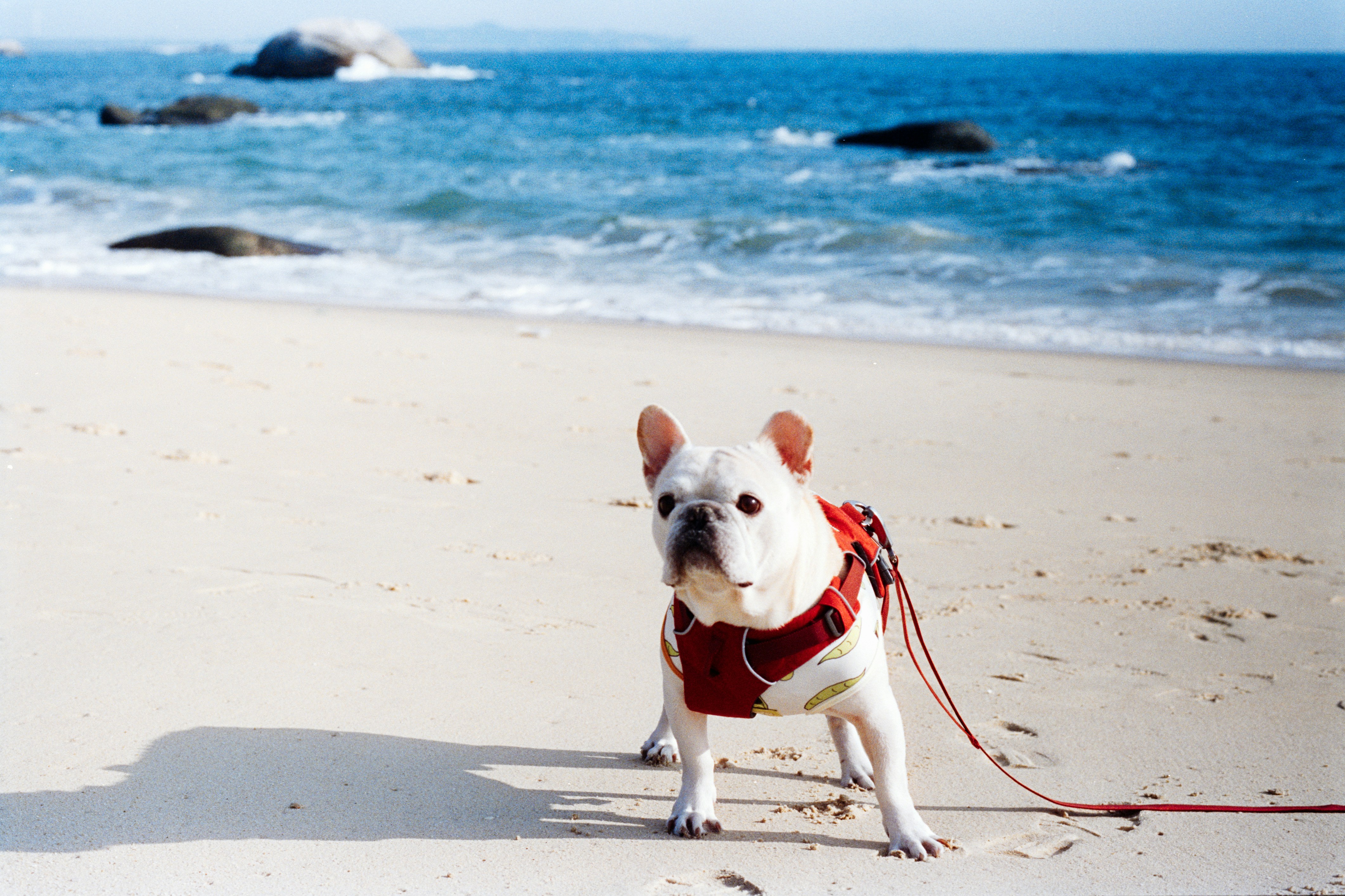 Photo by zhenyao_photo