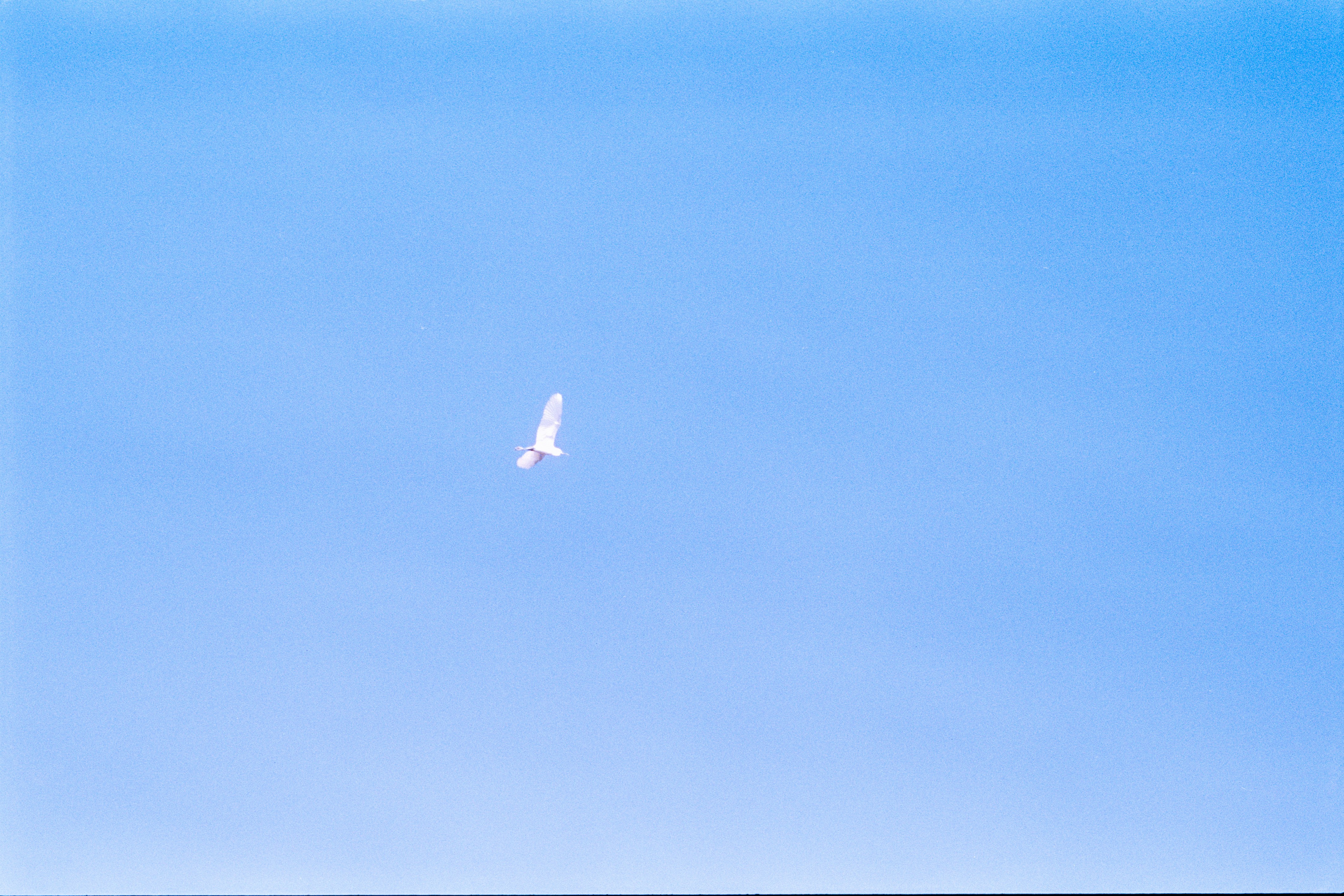 Photo by zhenyao_photo