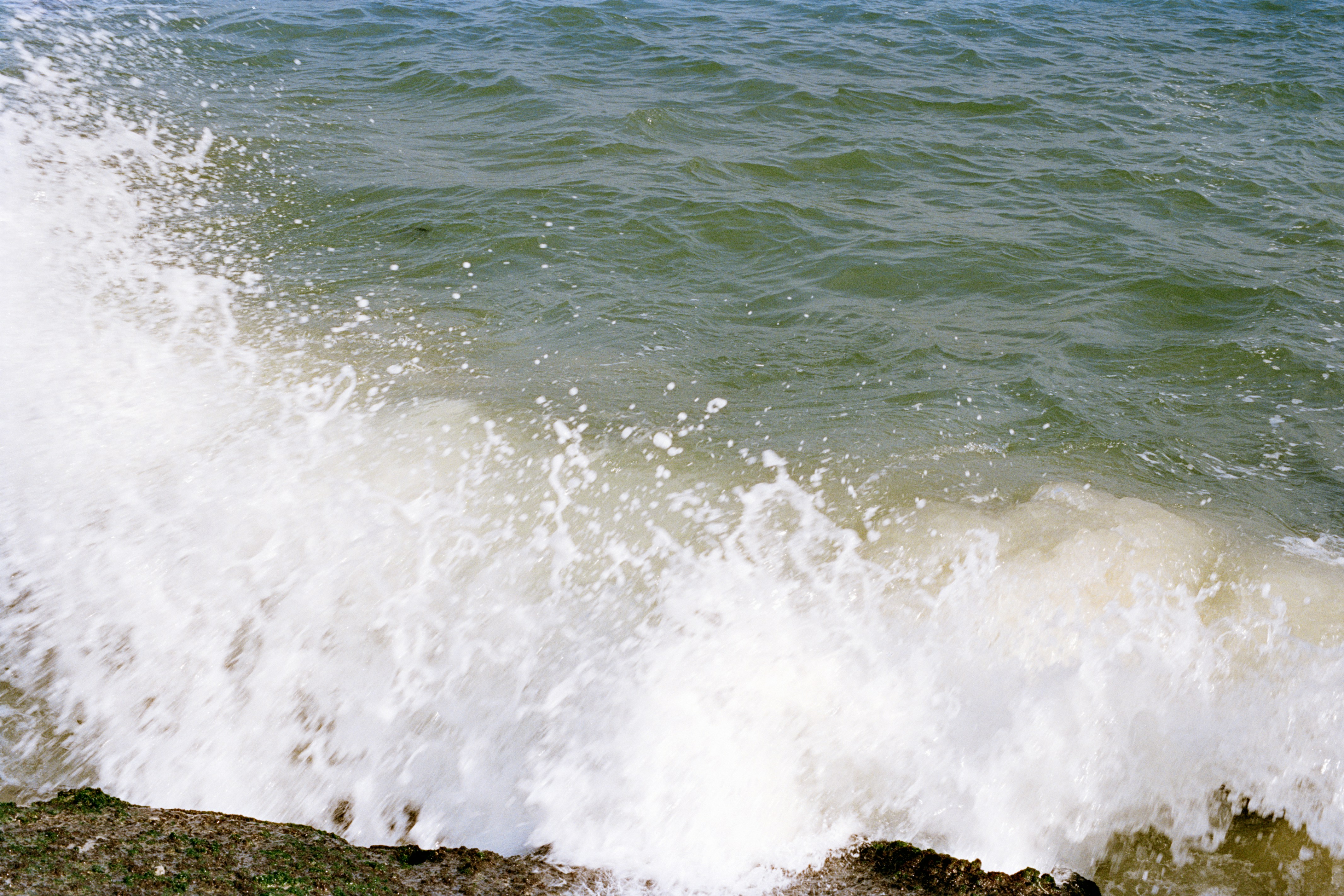 Photo by zhenyao_photo