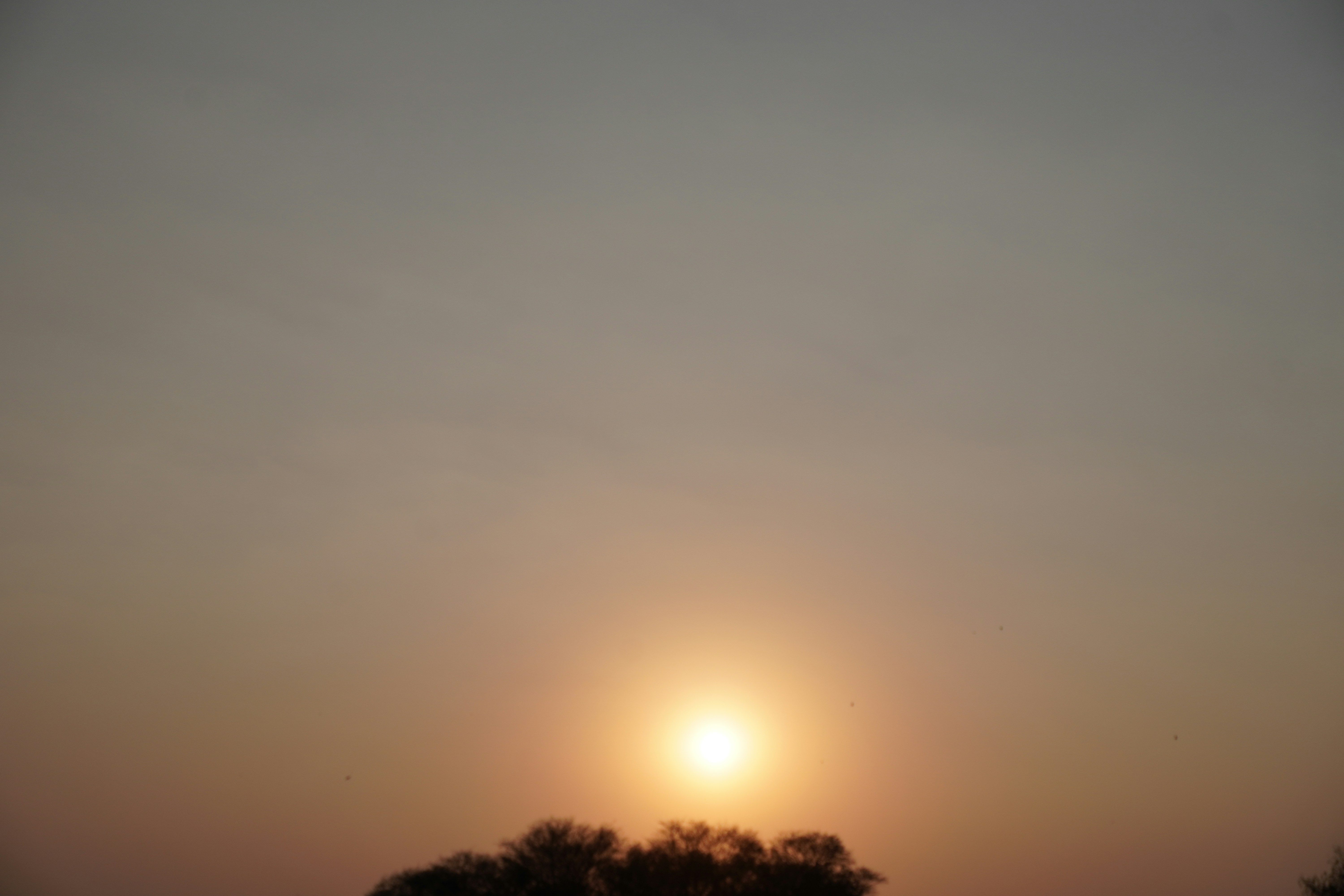 Photo by justjoker44