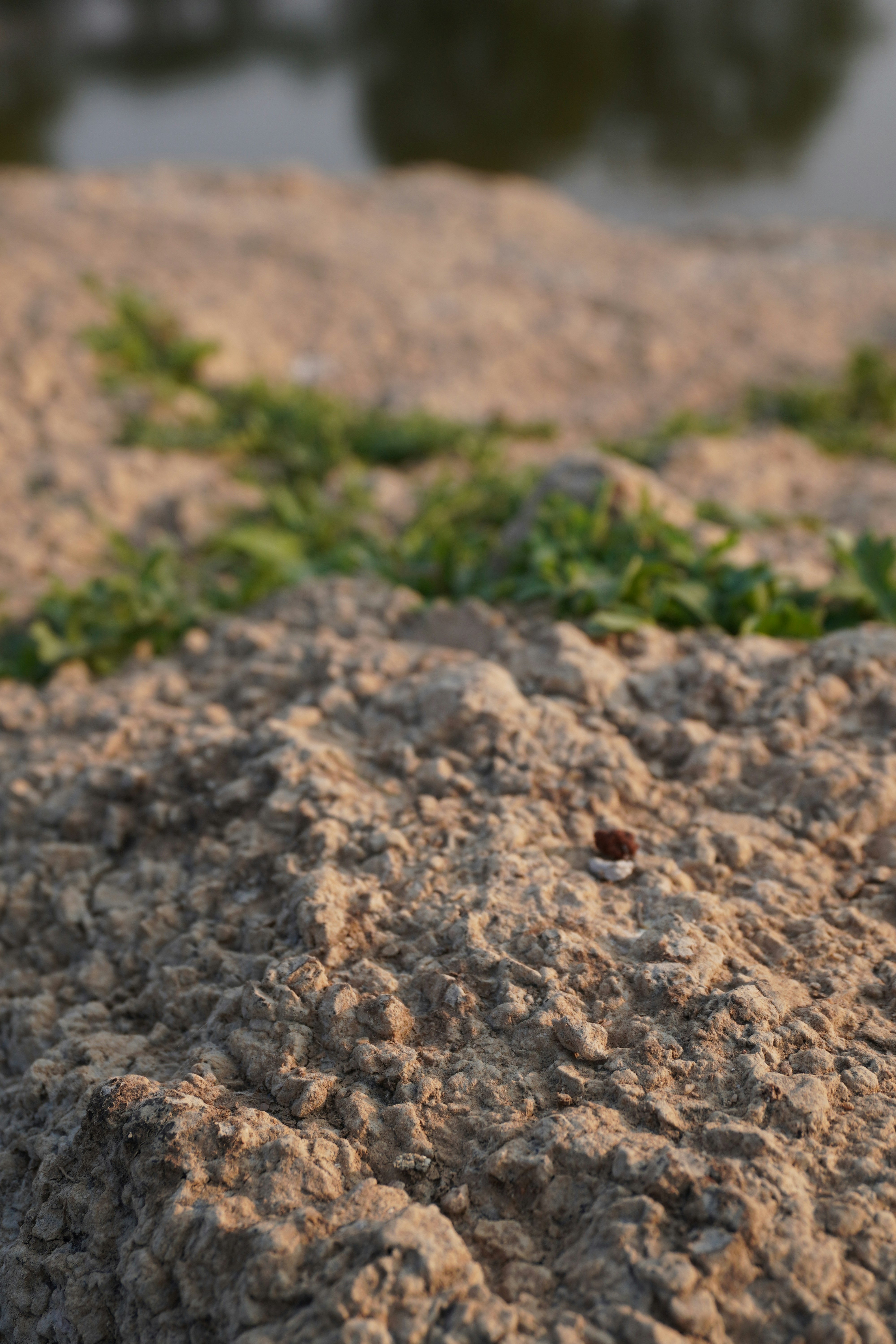 Photo by justjoker44