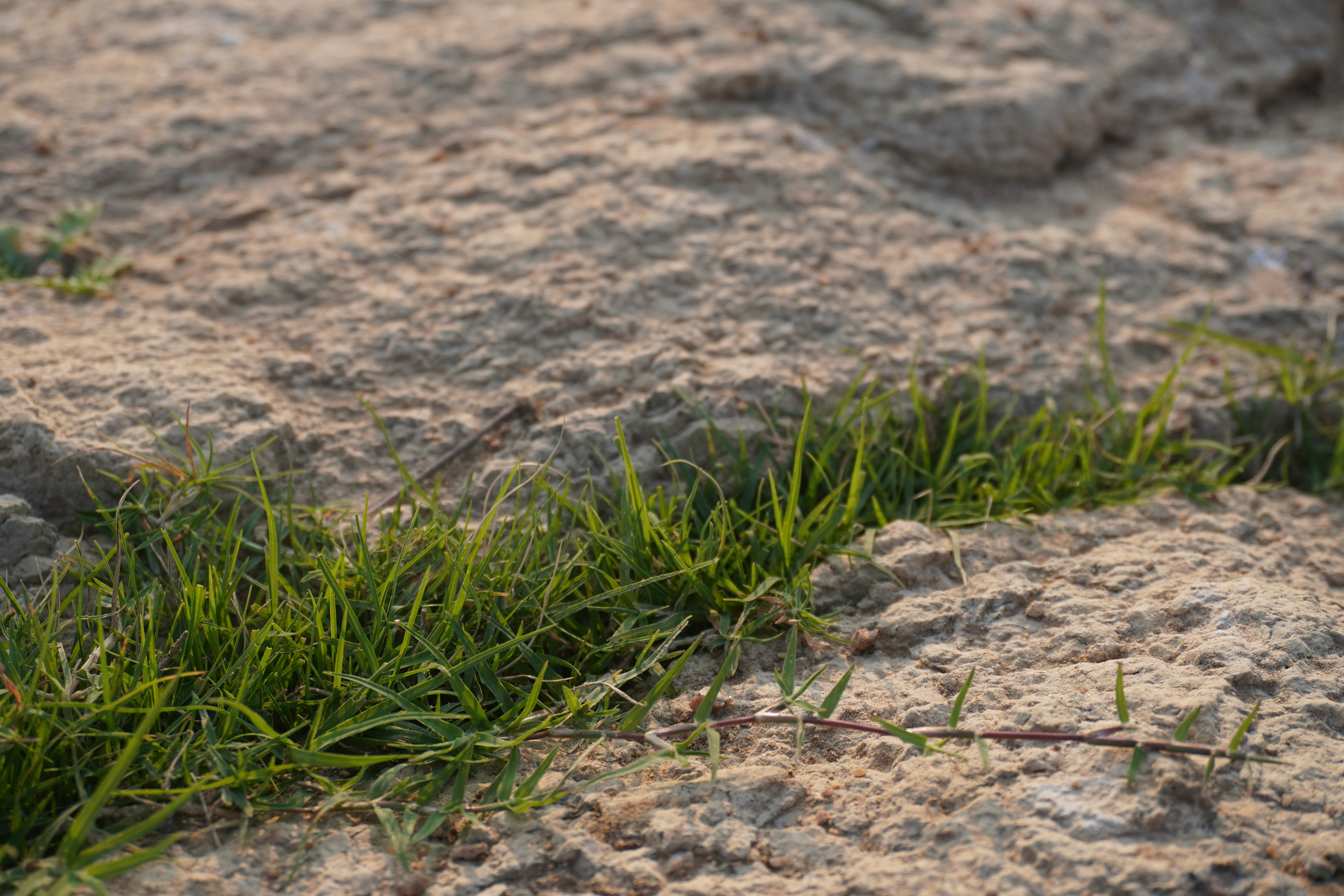 Photo by justjoker44