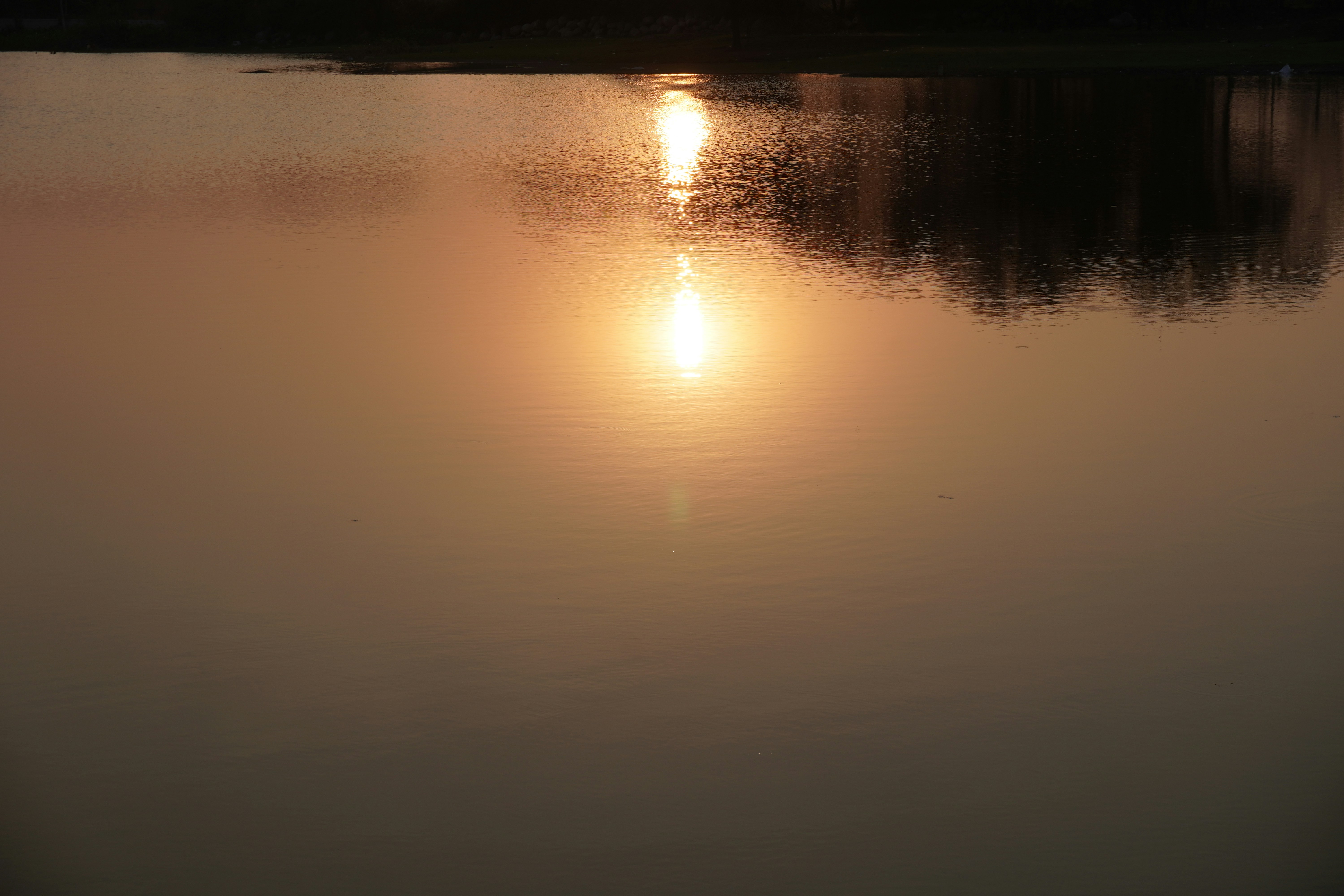 Photo by justjoker44