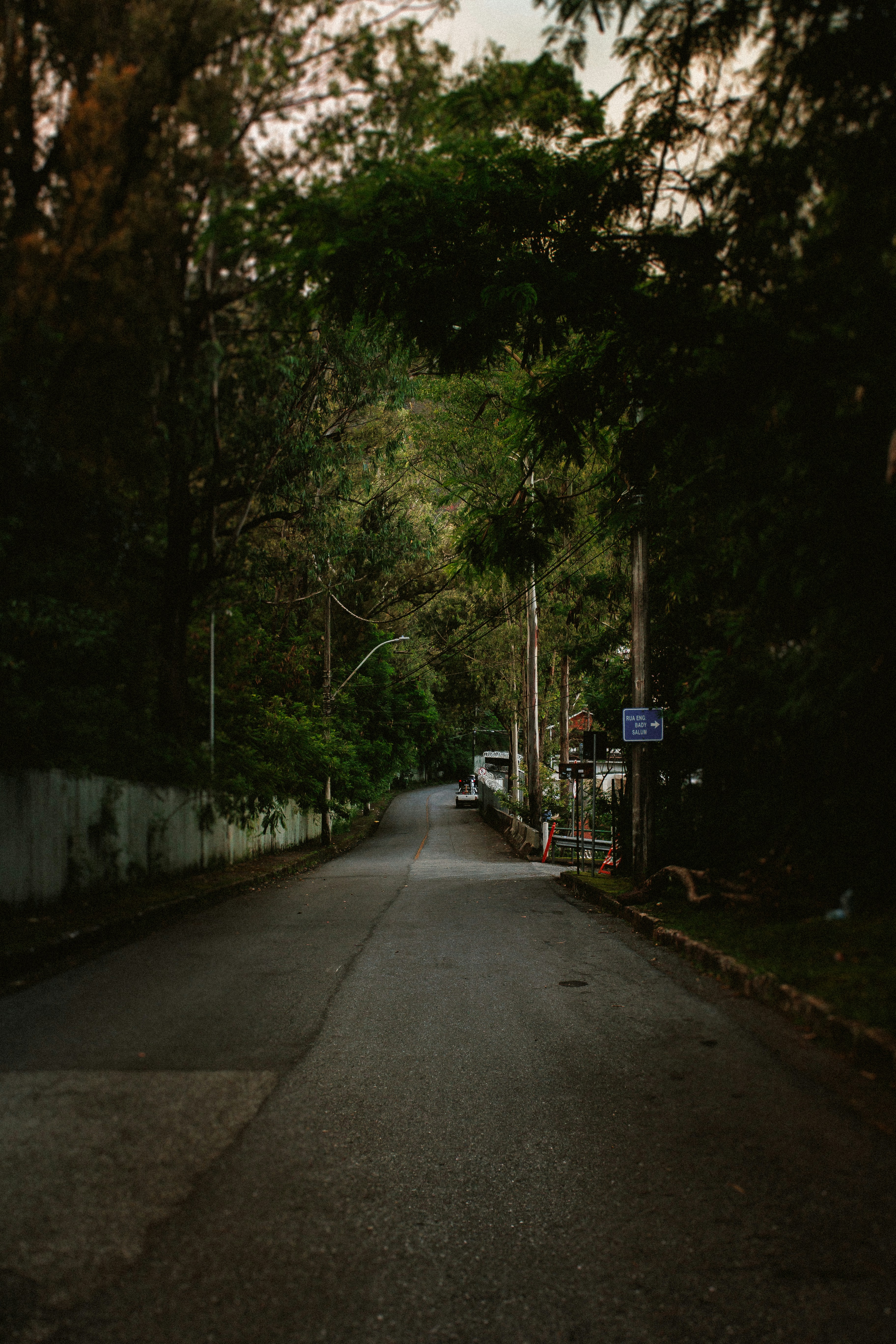 Photo by helenalopesph