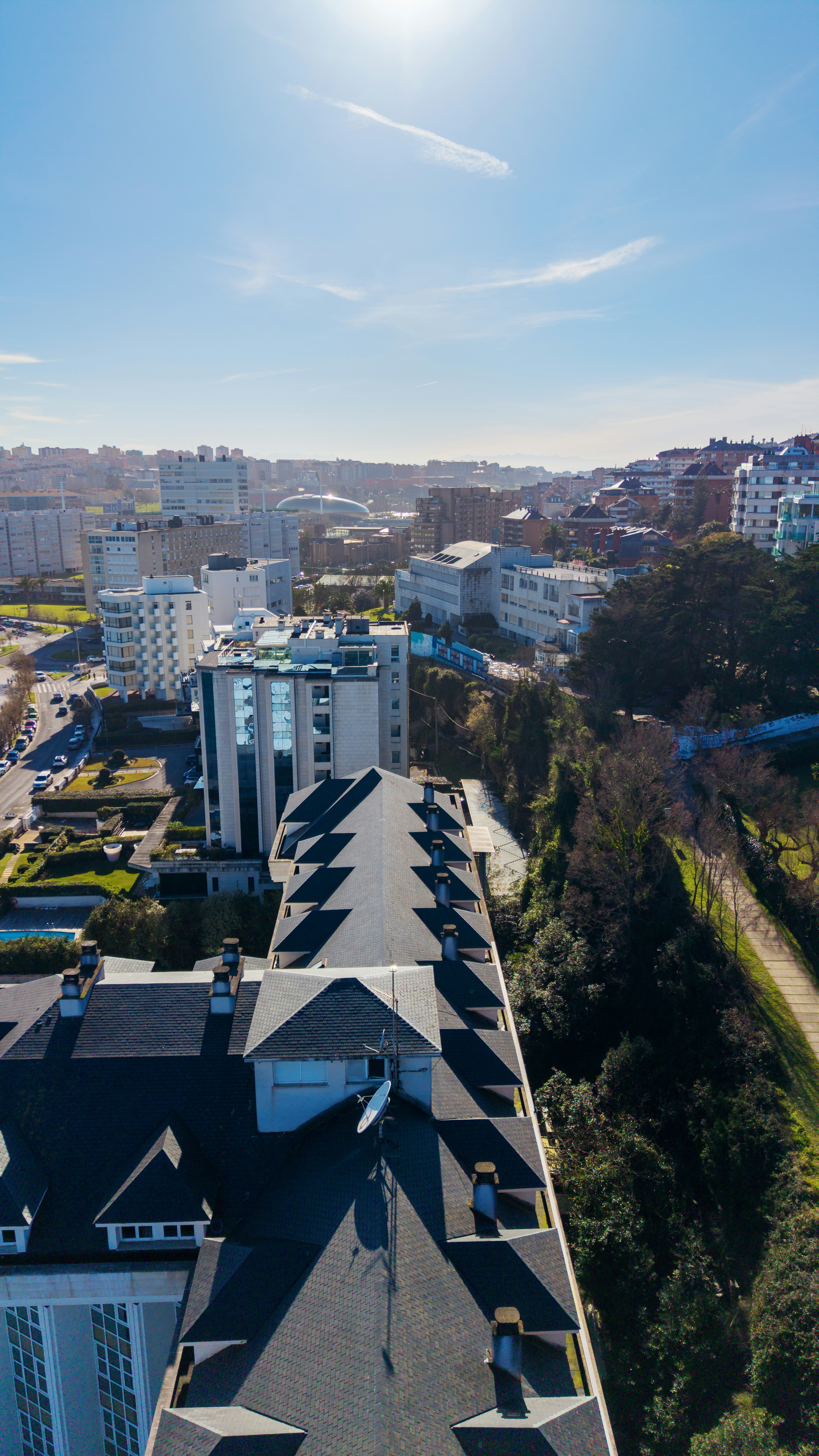 Aerial view of a city skyline with buildings and trees.
