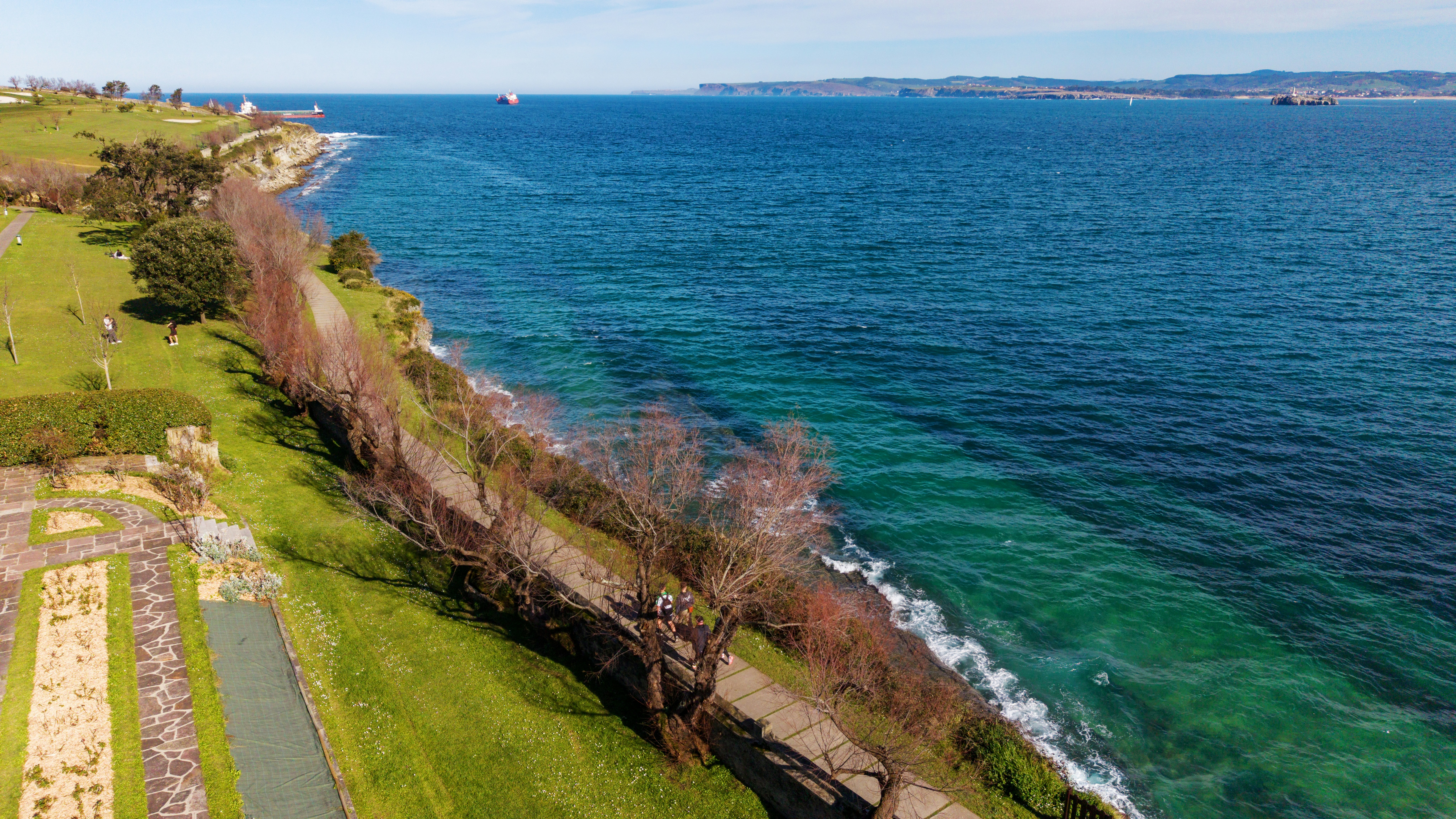 Coastal path with trees beside a blue ocean