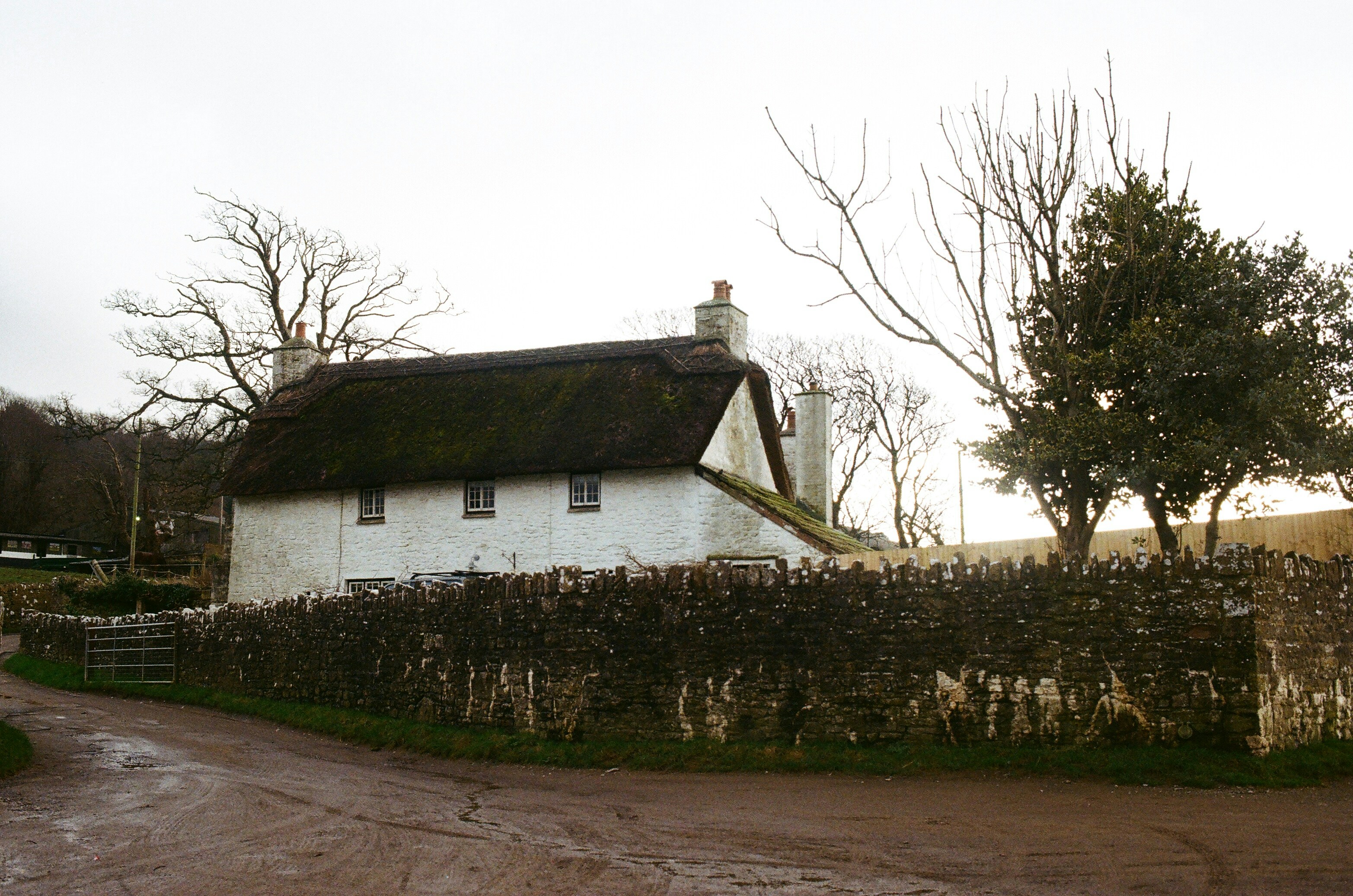 Photo by tanyabarrow