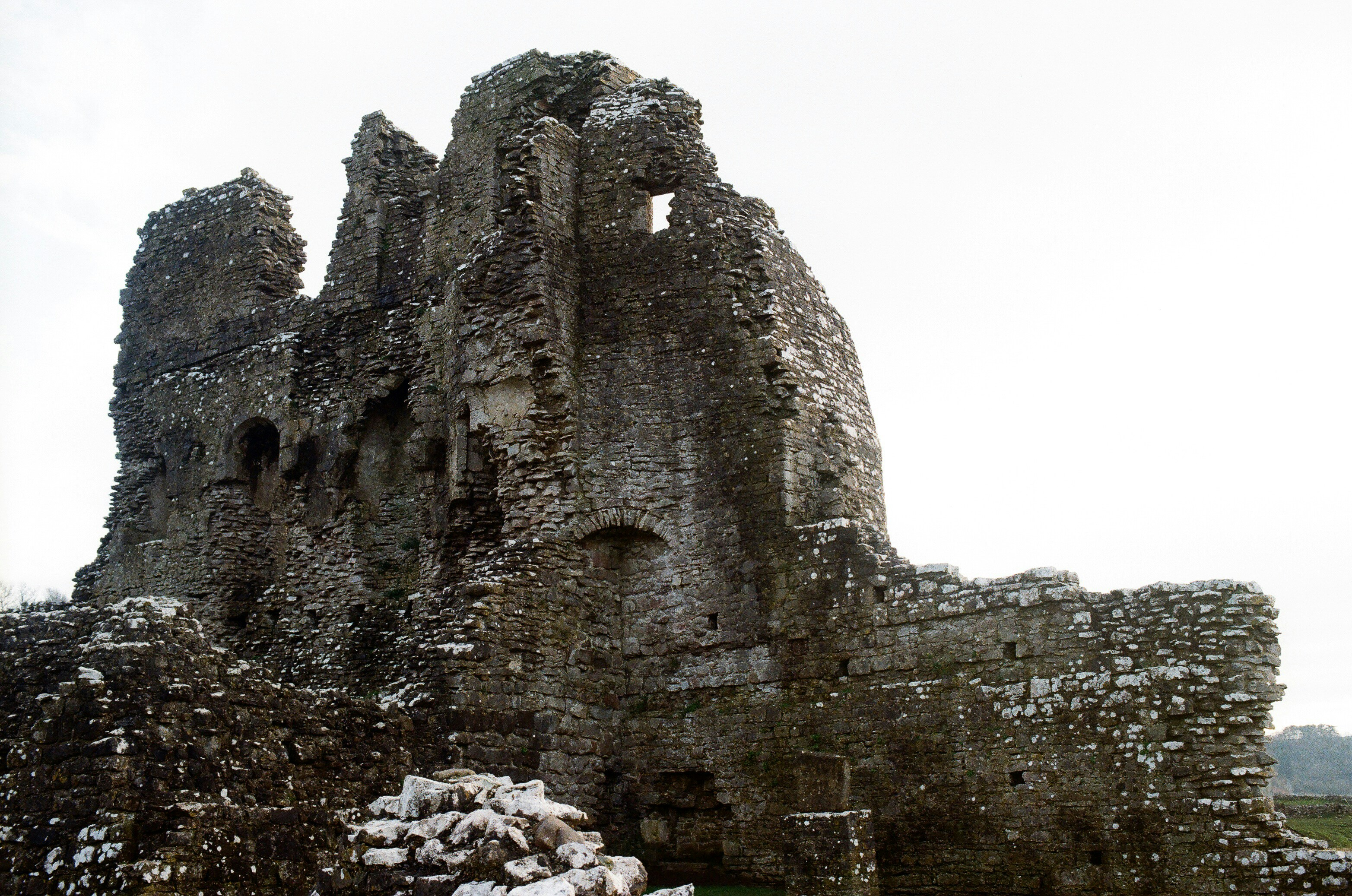 Photo by tanyabarrow