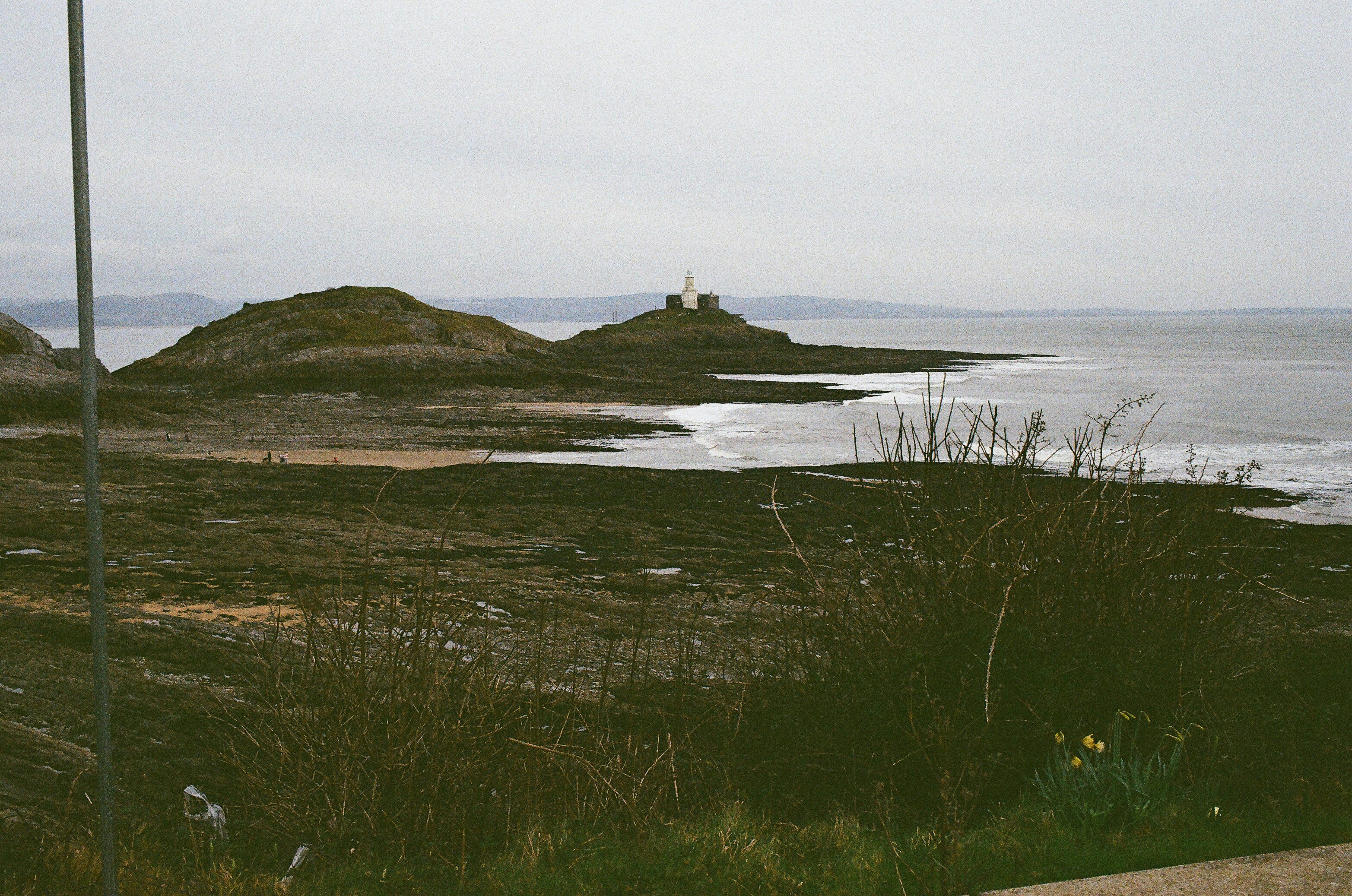 Photo by tanyabarrow