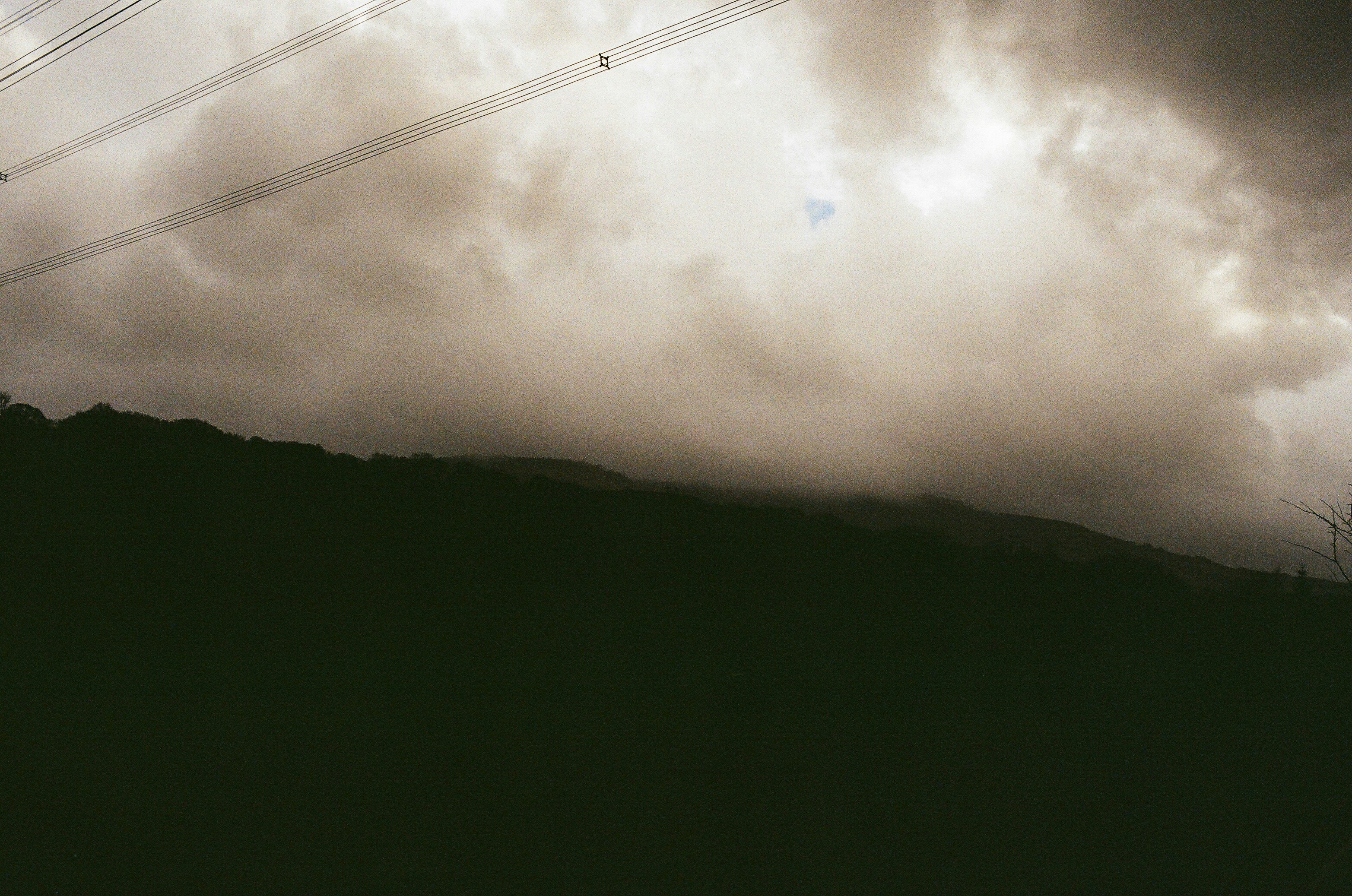 Photo by tanyabarrow