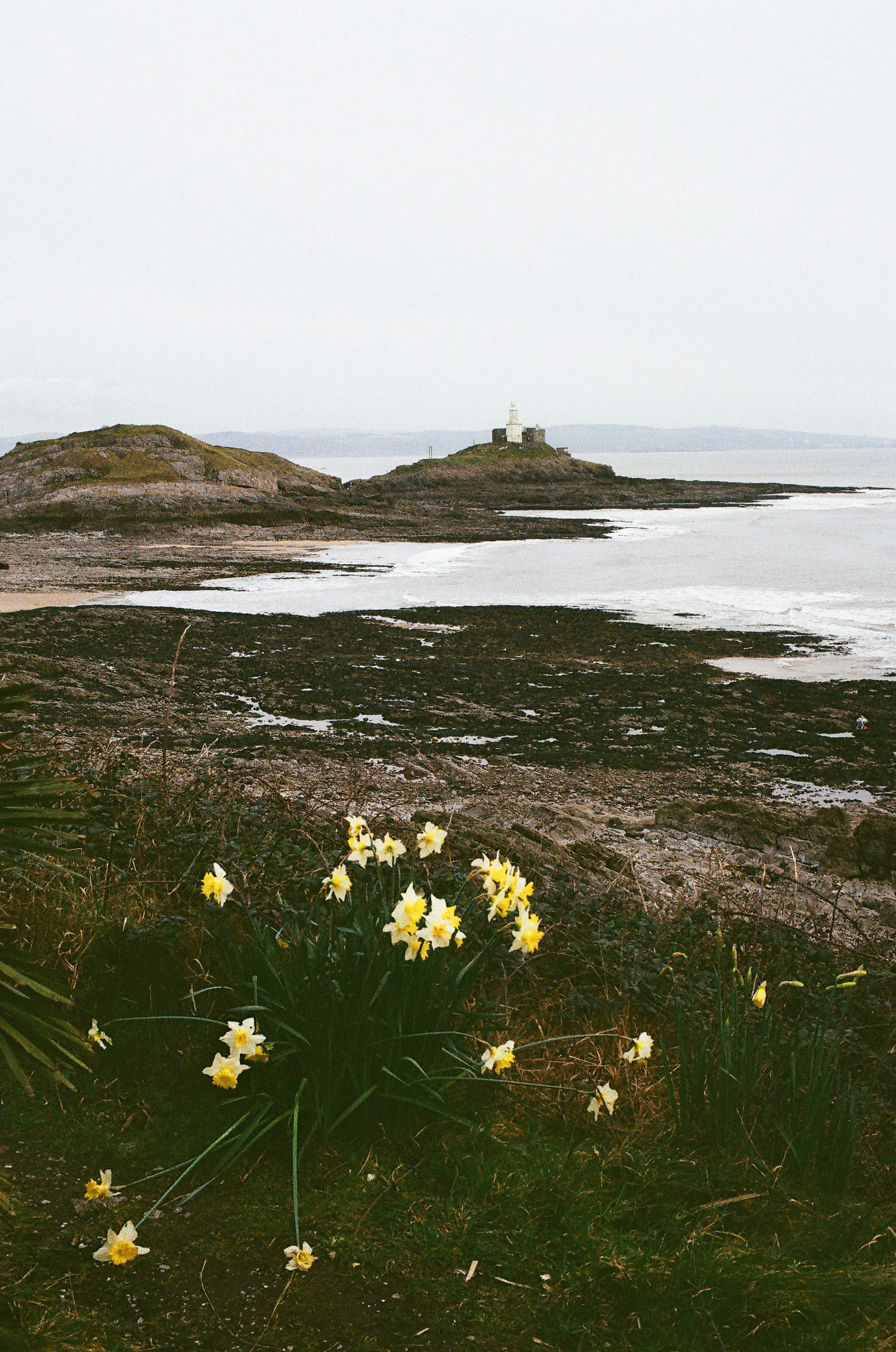 Photo by tanyabarrow