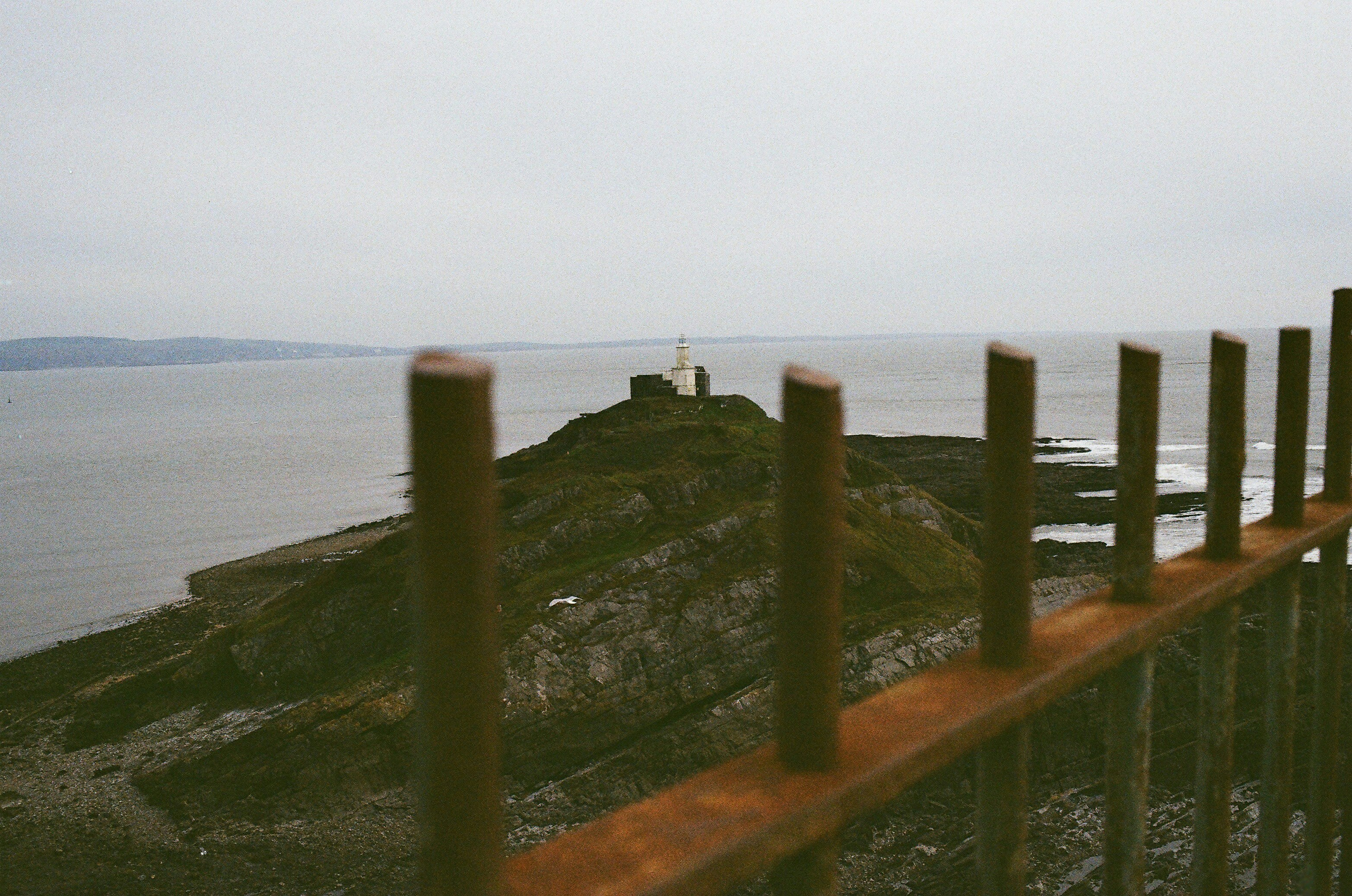 Photo by tanyabarrow