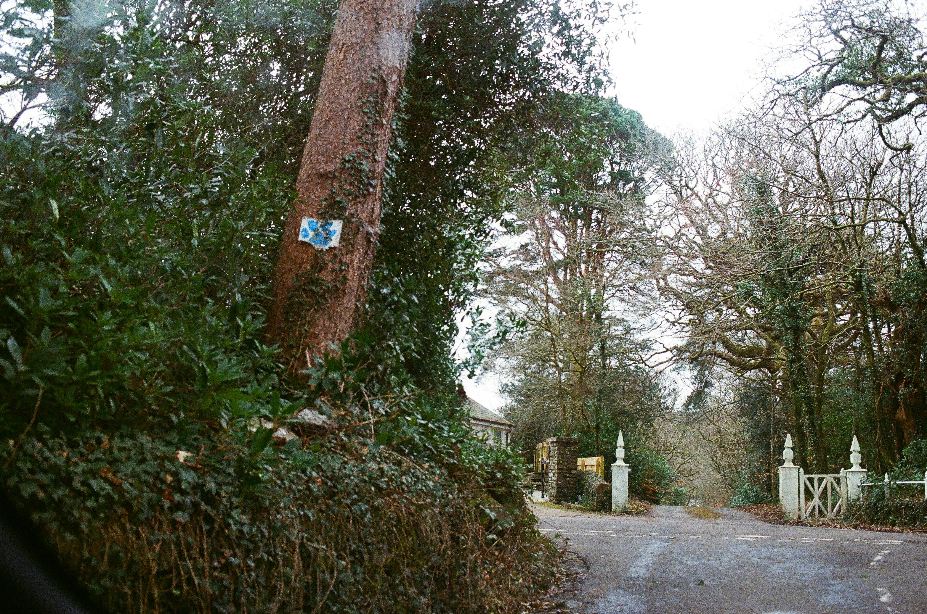 Photo by tanyabarrow