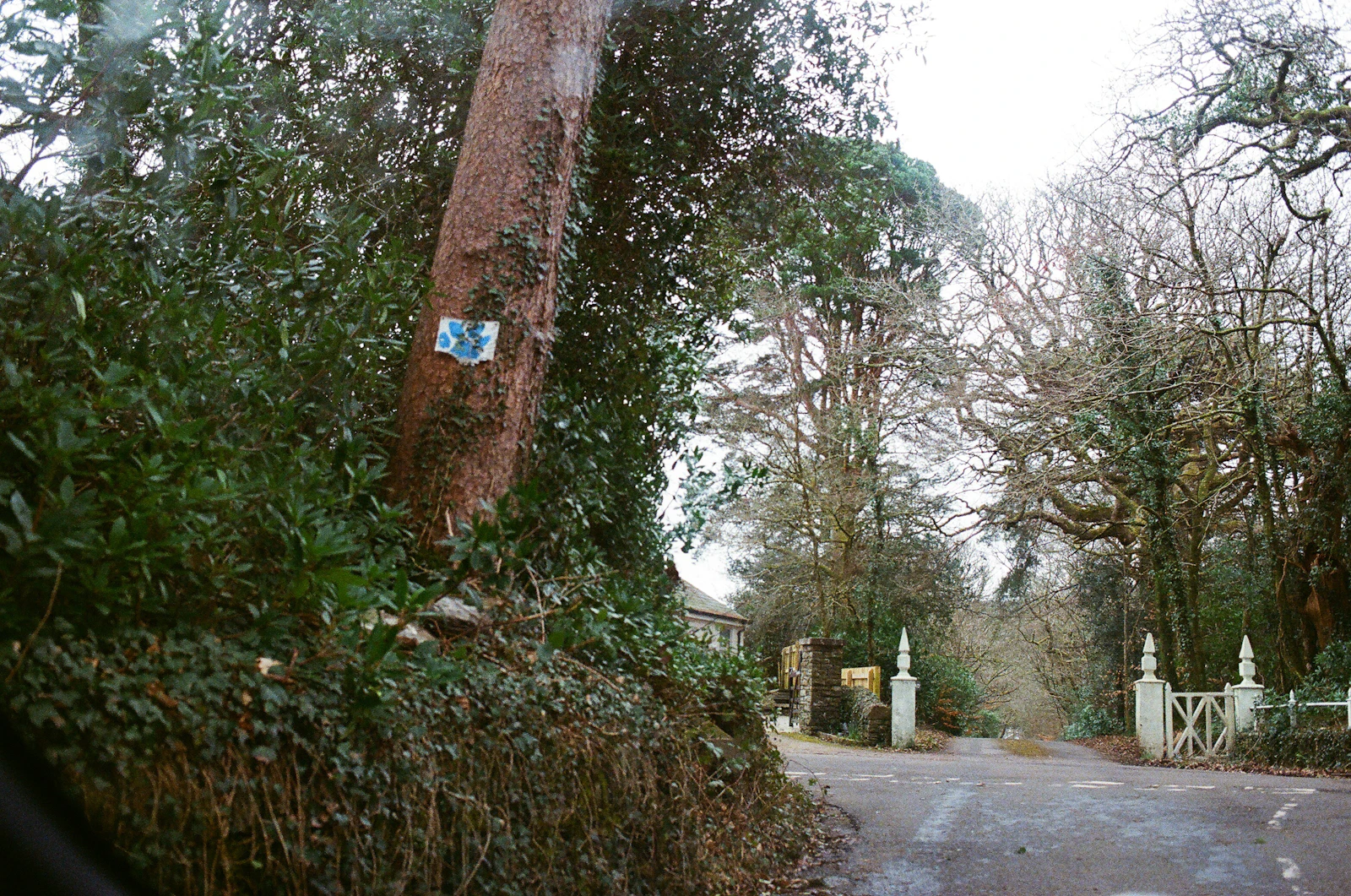 Automatic driveway gate at a residential entrance