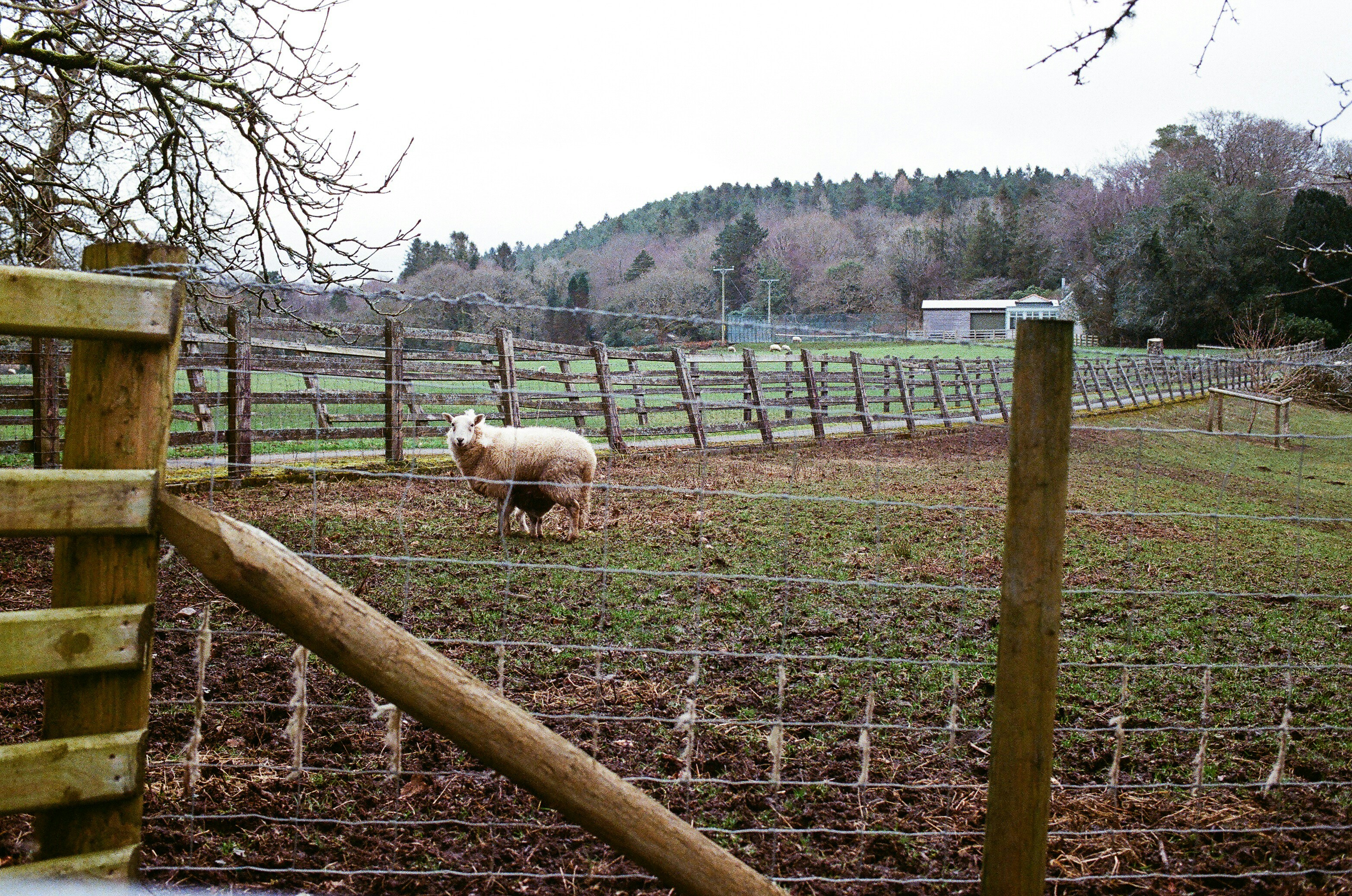 Photo by tanyabarrow