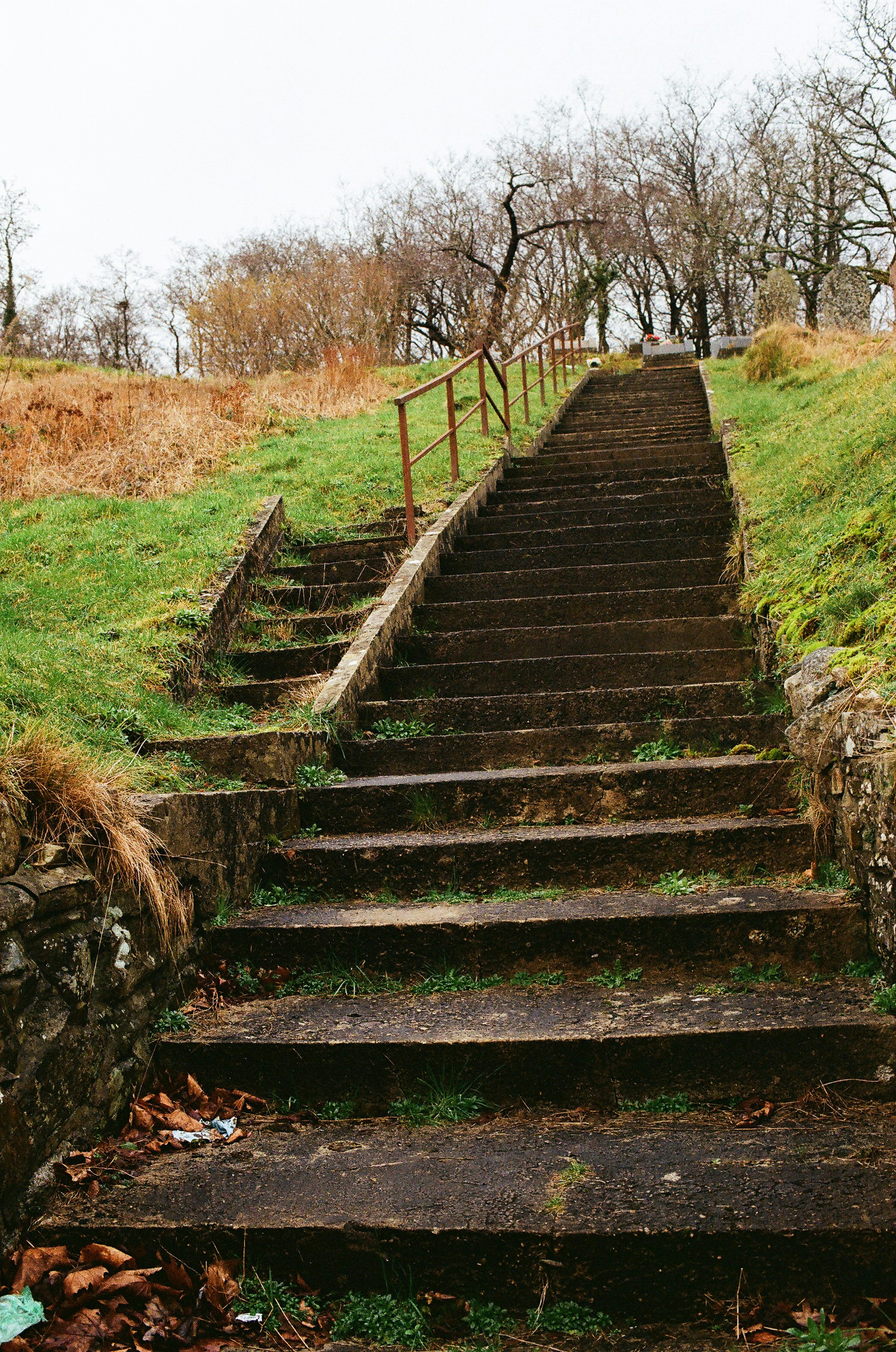 Photo by tanyabarrow