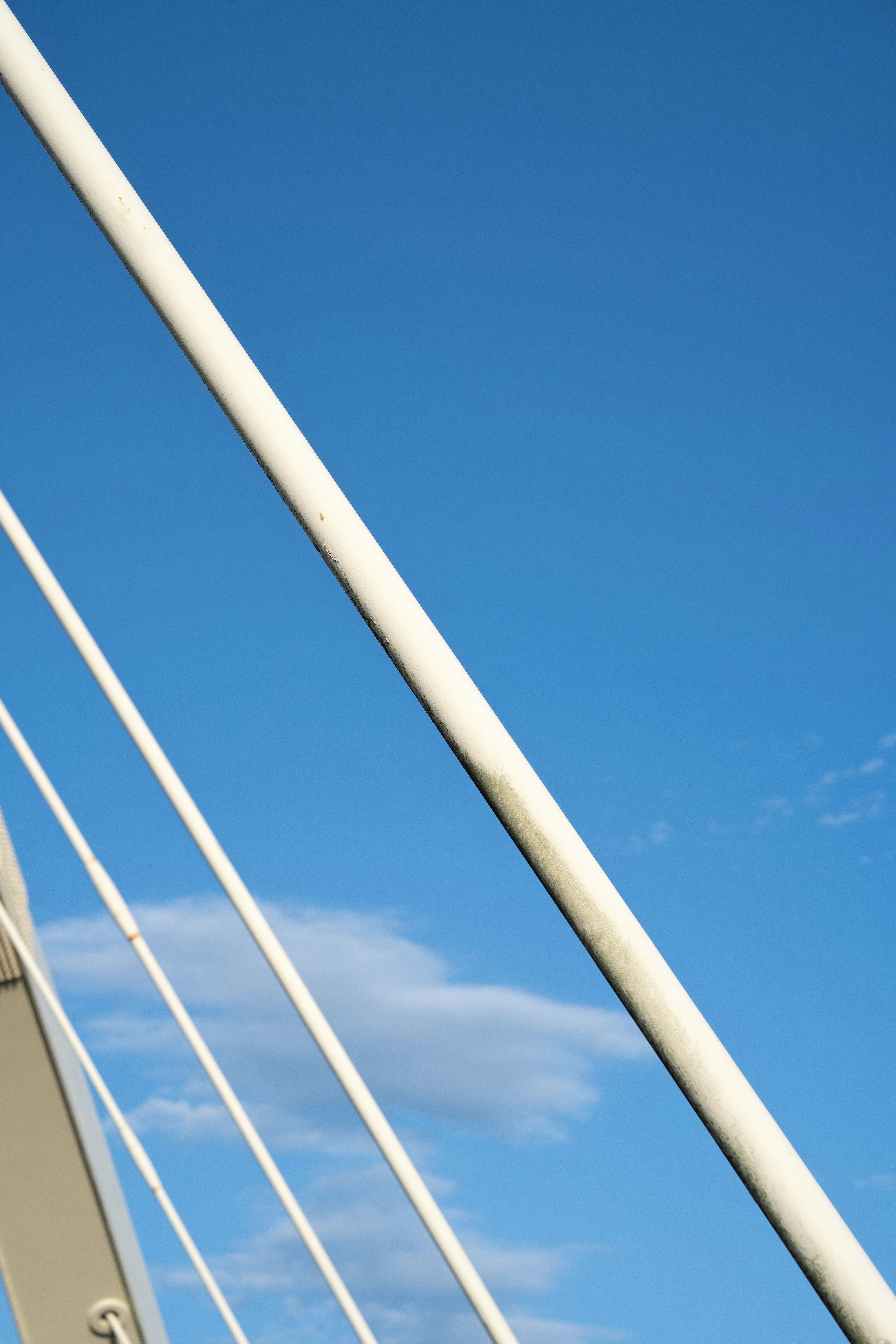 Photo by monster0313