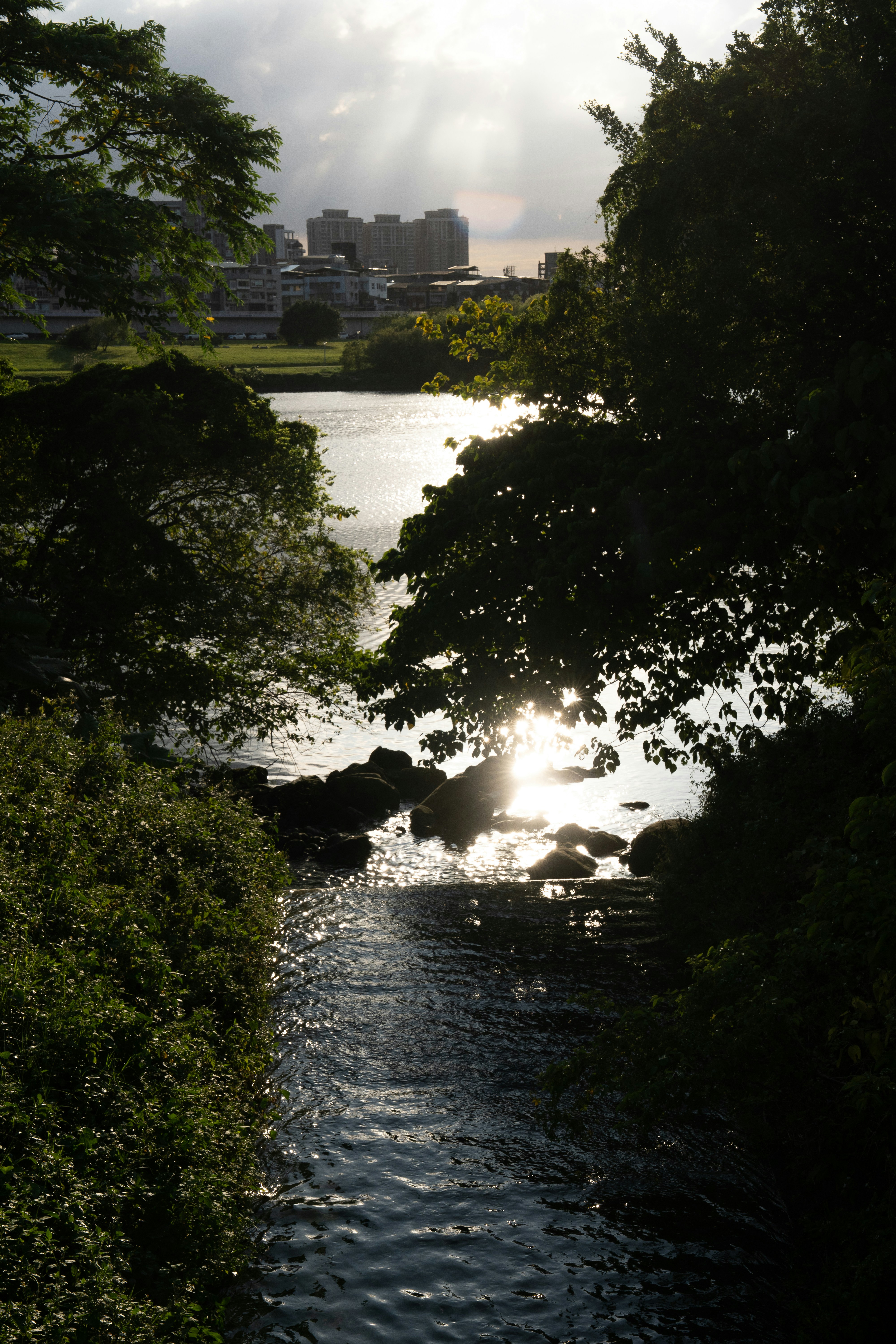 Sunlight glinting on a river with trees and buildings.