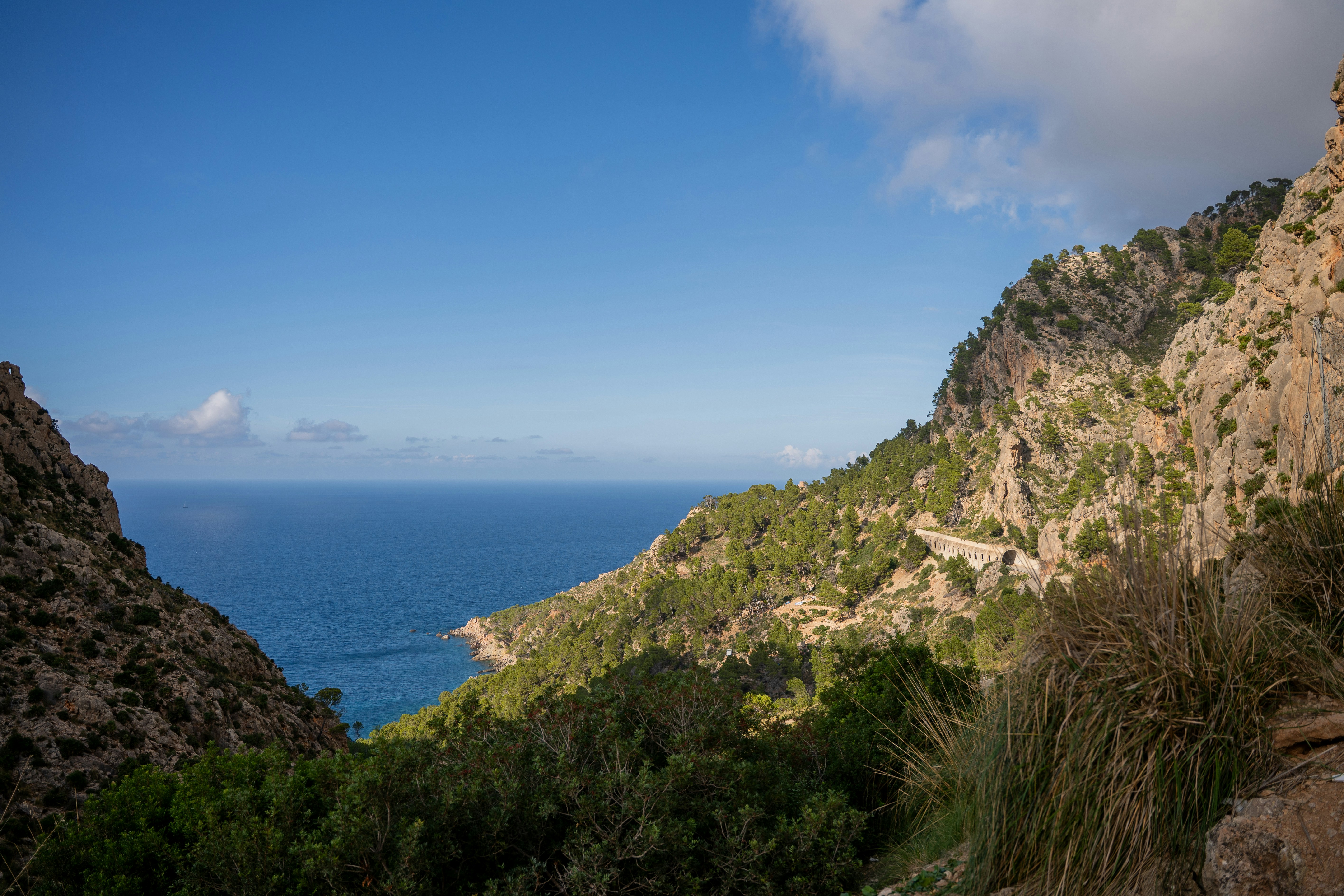 Photo by bernhardvisuals