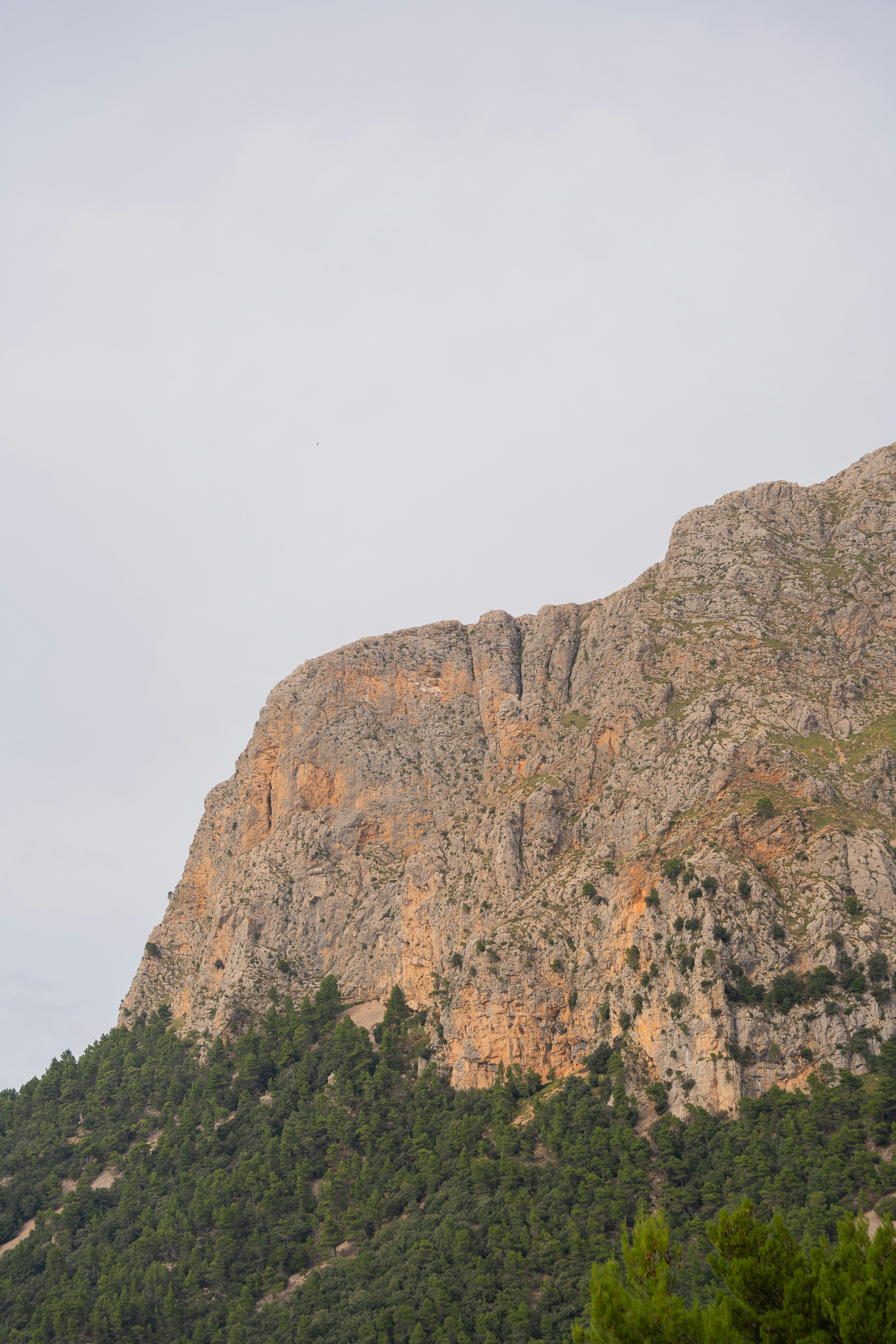 Photo by bernhardvisuals