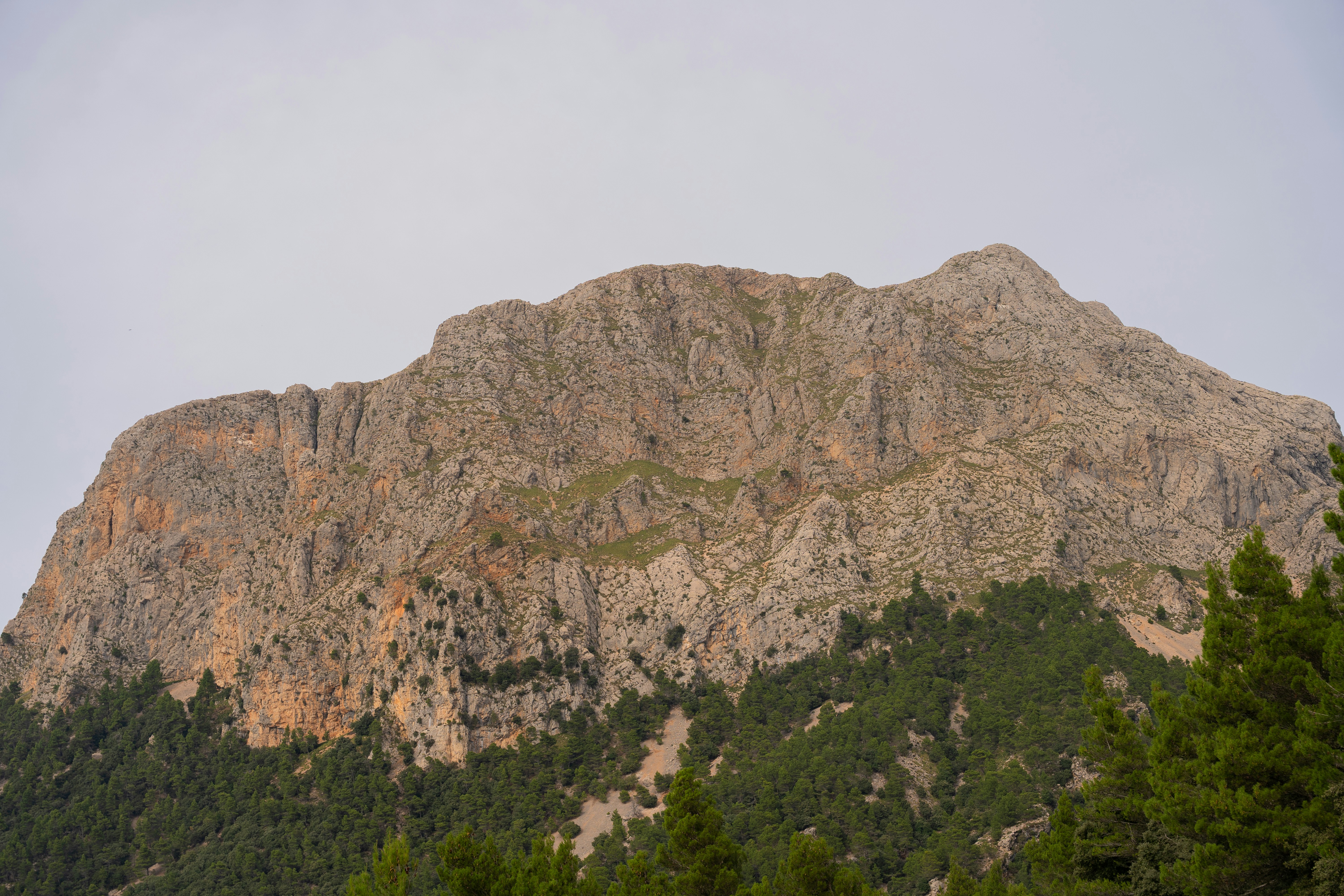 Photo by bernhardvisuals