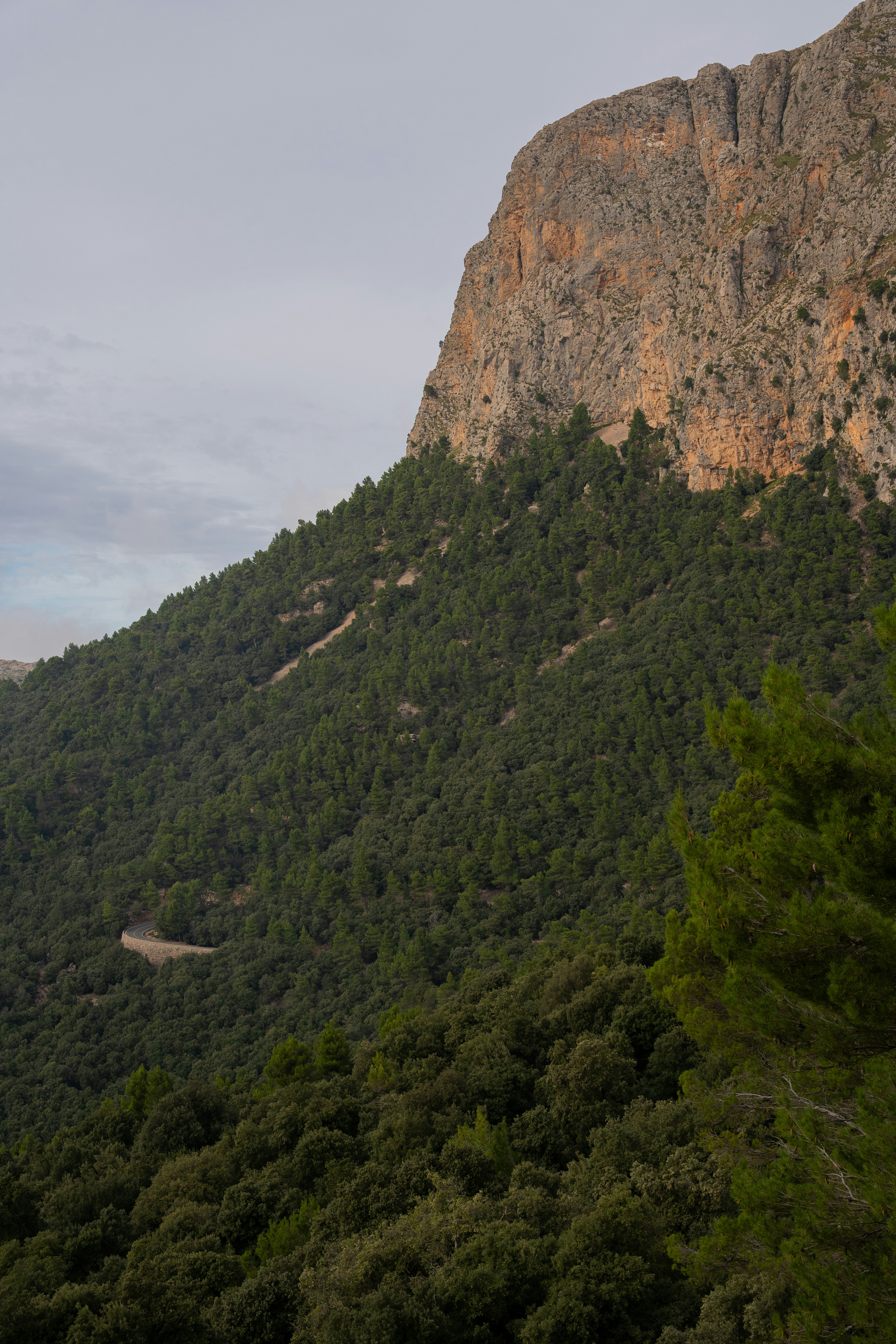 Photo by bernhardvisuals