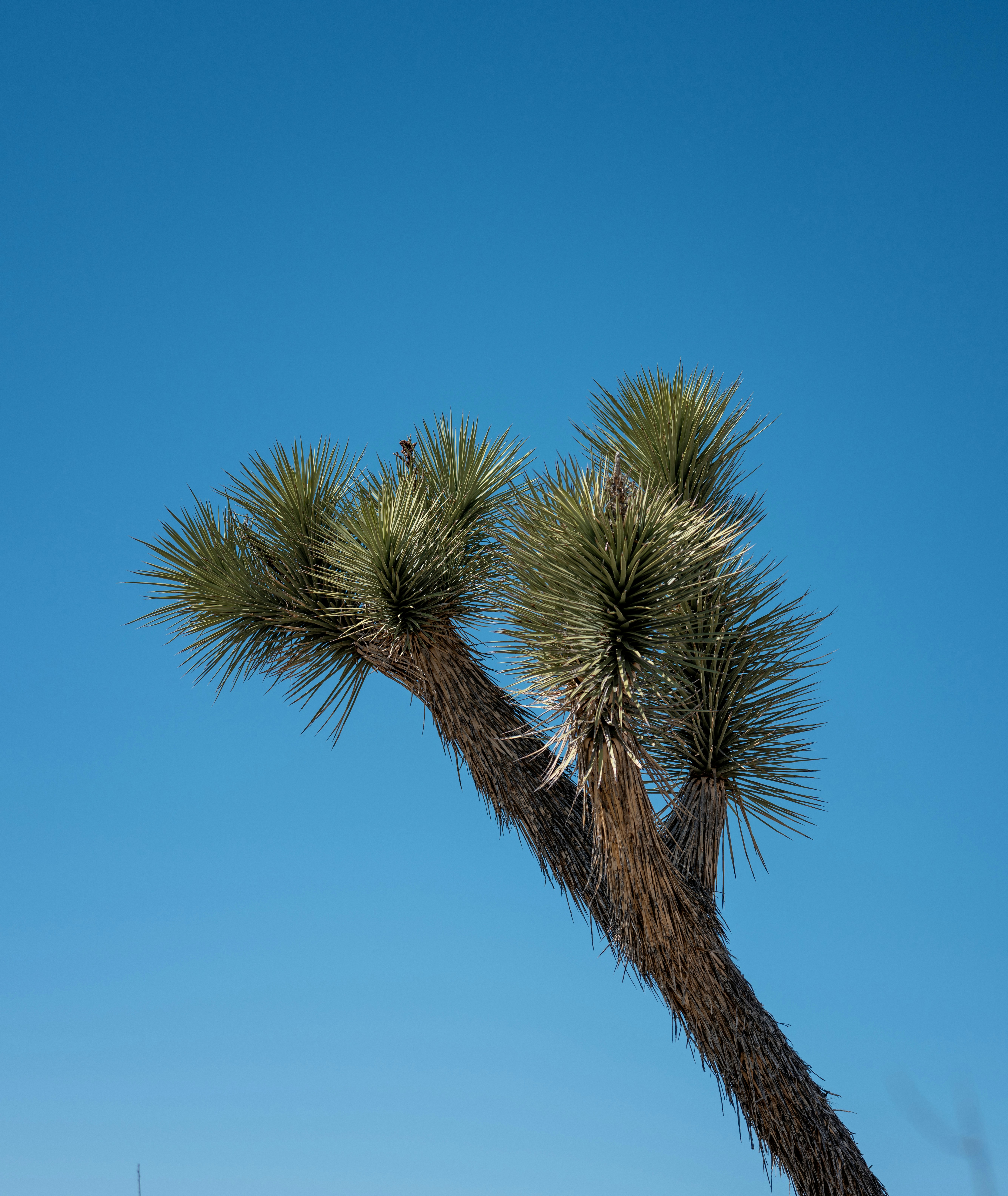 Photo by ramongilabert