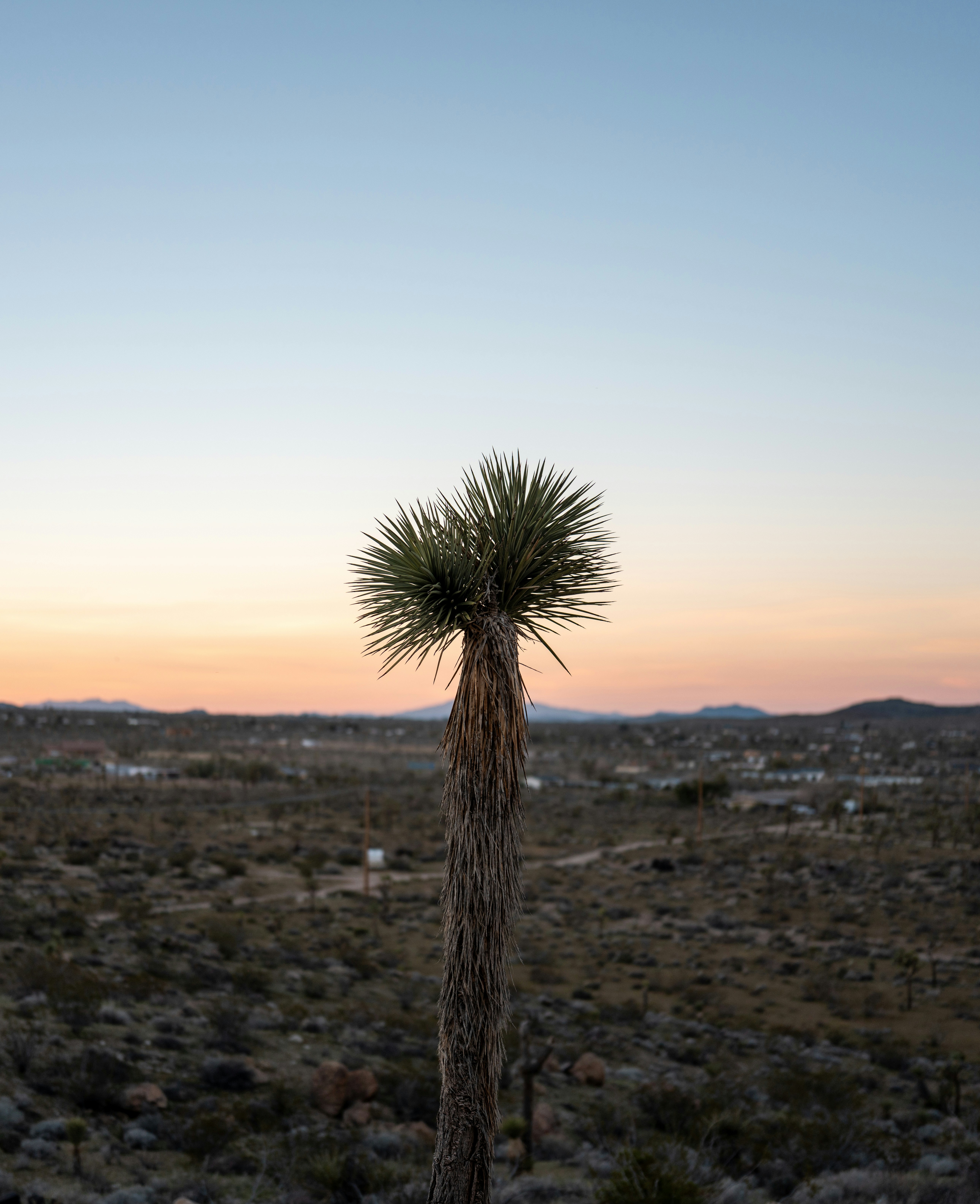 Photo by ramongilabert