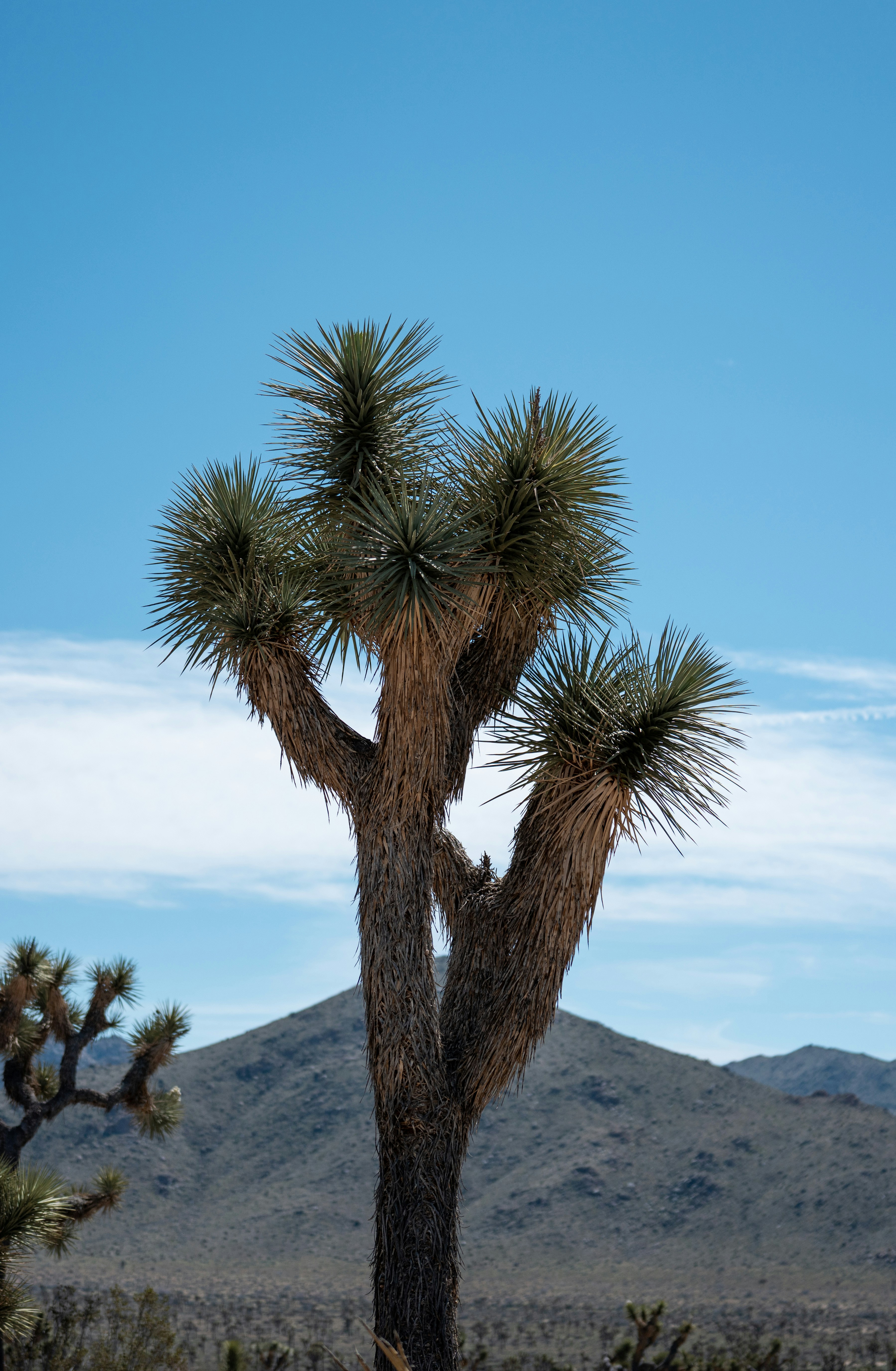 Photo by ramongilabert