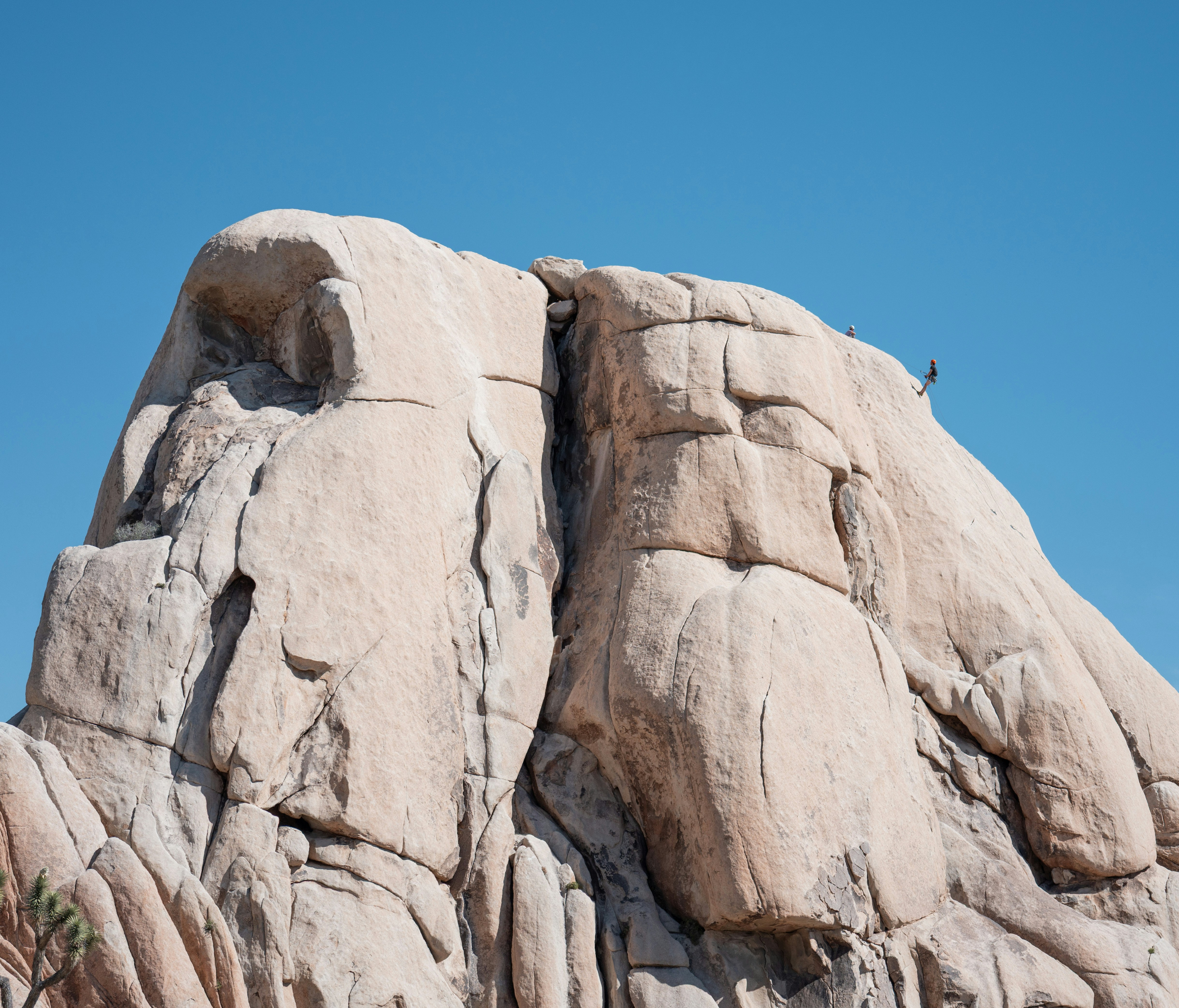 Photo by ramongilabert