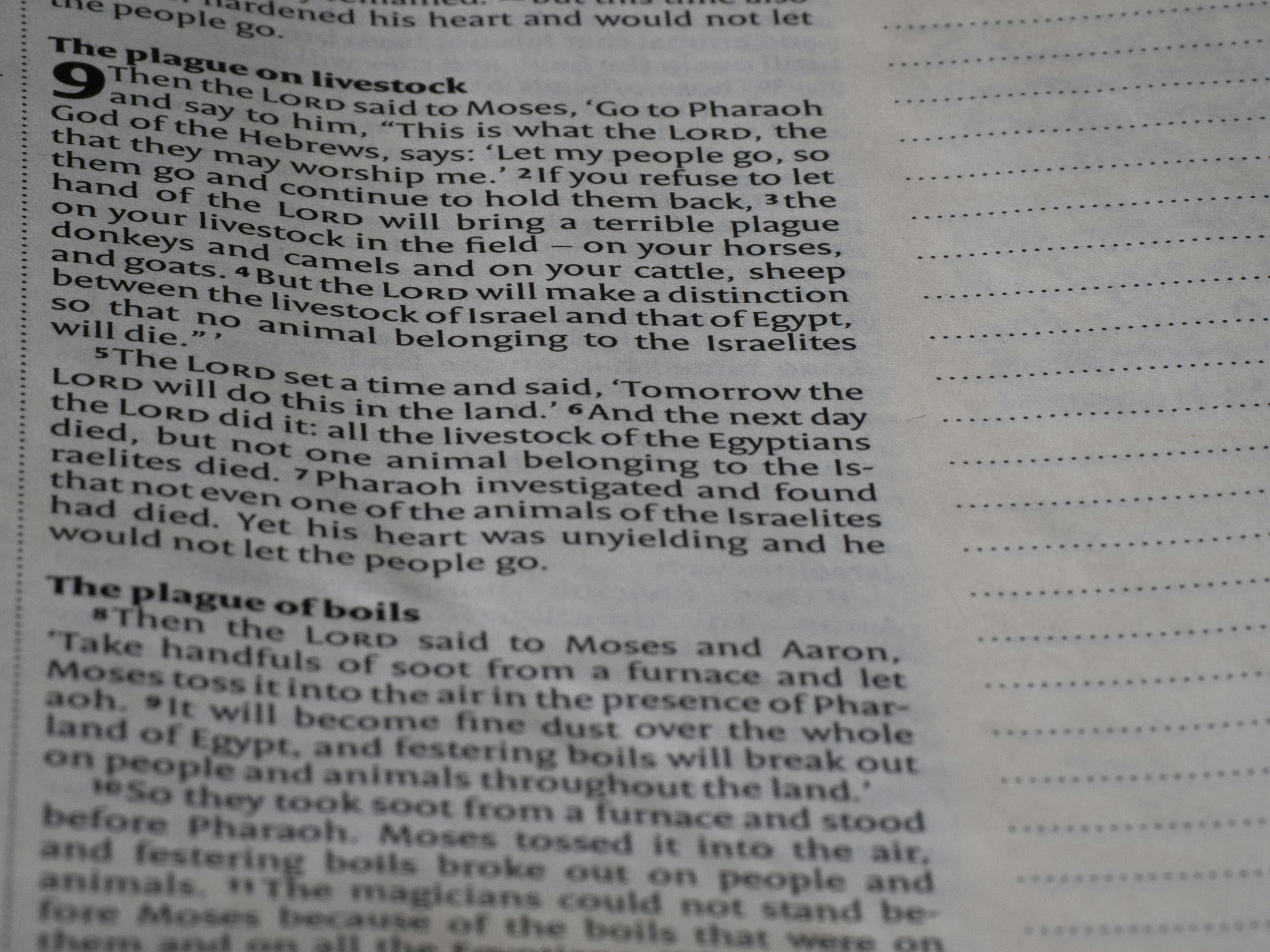 Close-up of text in a book