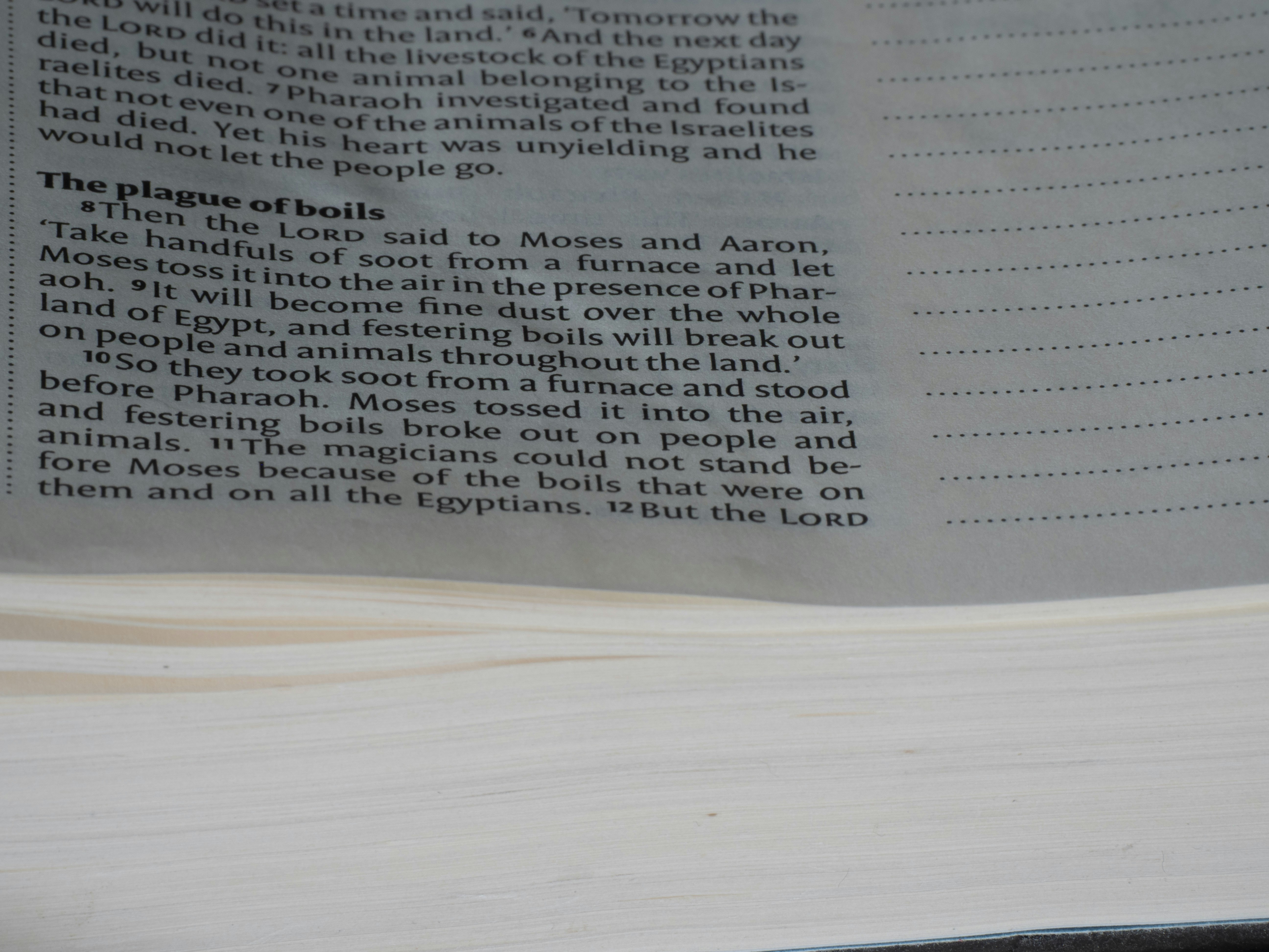 Close-up of text from a book