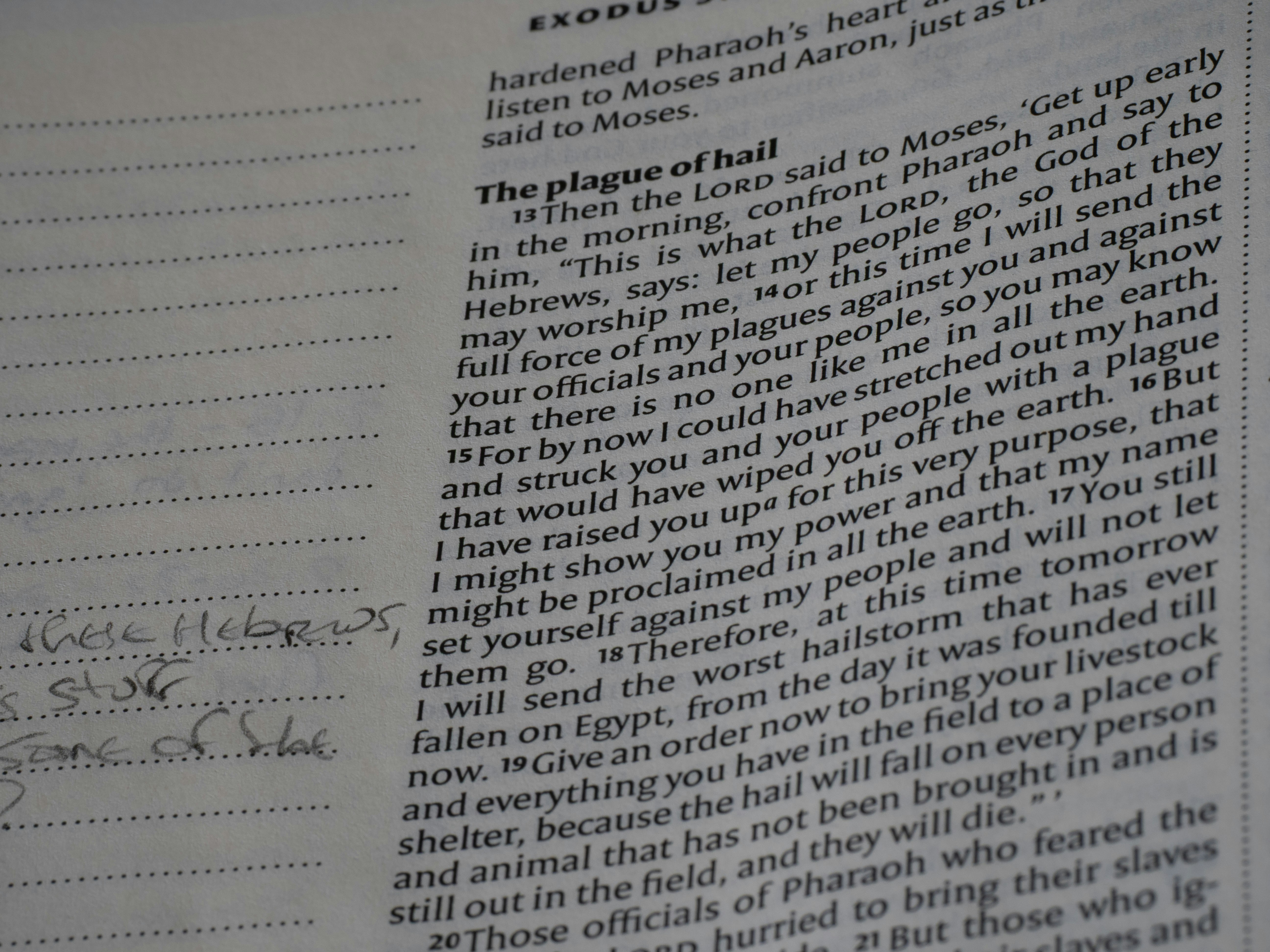 Media and Identity: How High-Profile Sports Stars Influence Young Muslims